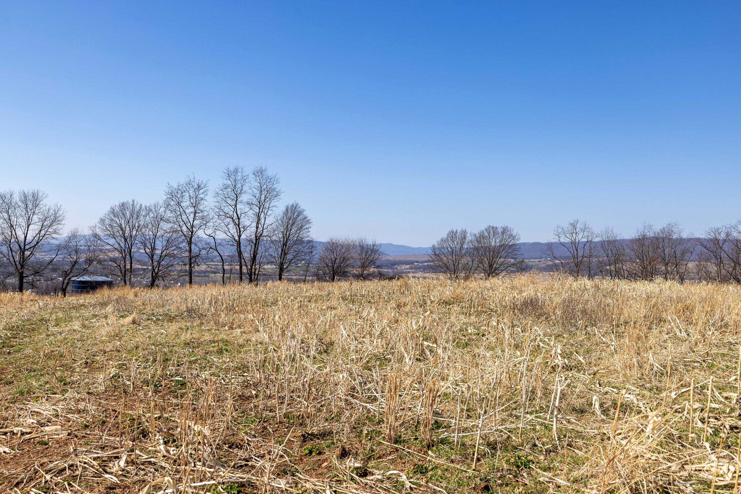 0 NEIGHBORS LN, TIMBERVILLE, Virginia 22853, ,Land,0 NEIGHBORS LN,673882 MLS # 673882