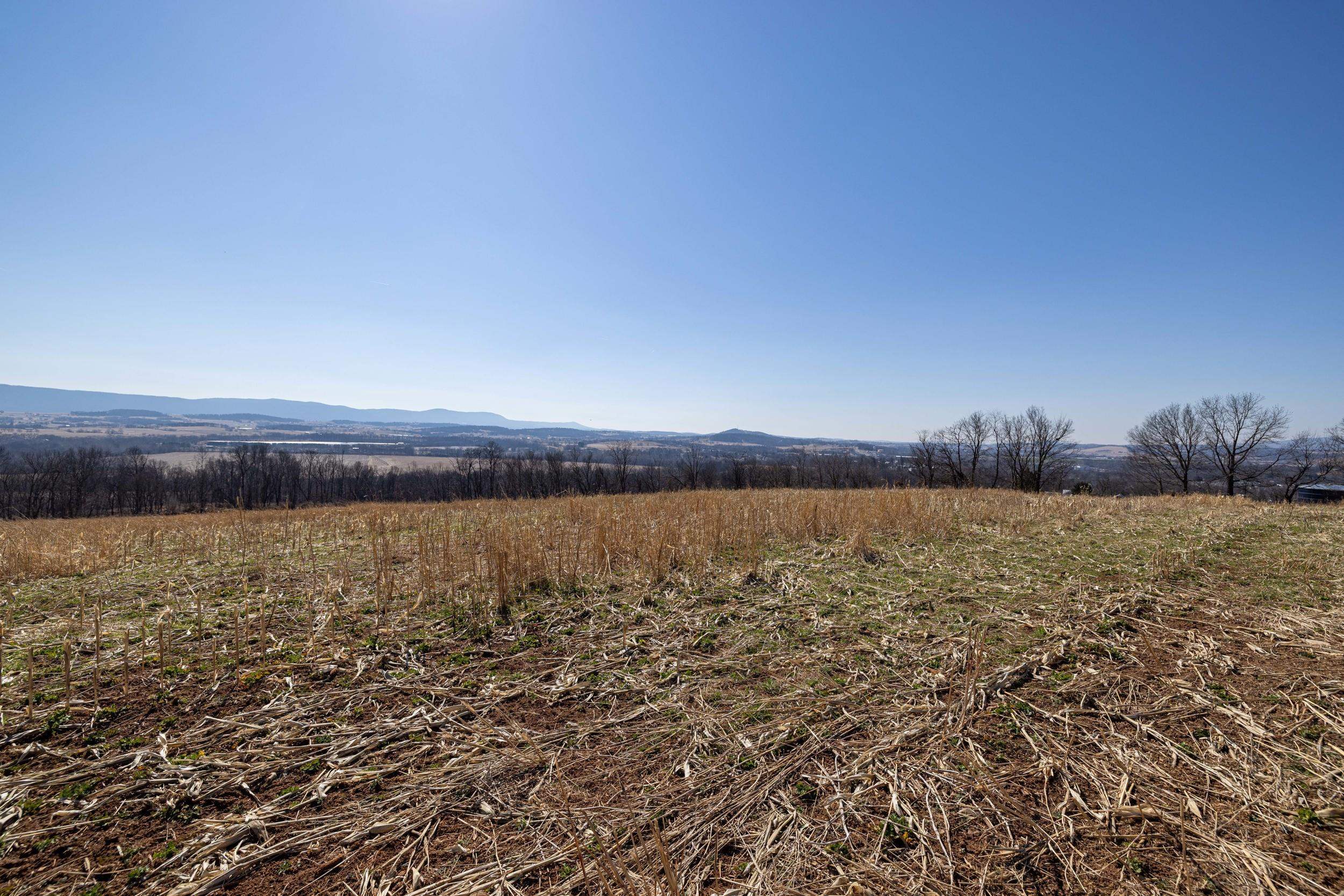 0 NEIGHBORS LN, TIMBERVILLE, Virginia 22853, ,Land,0 NEIGHBORS LN,673882 MLS # 673882