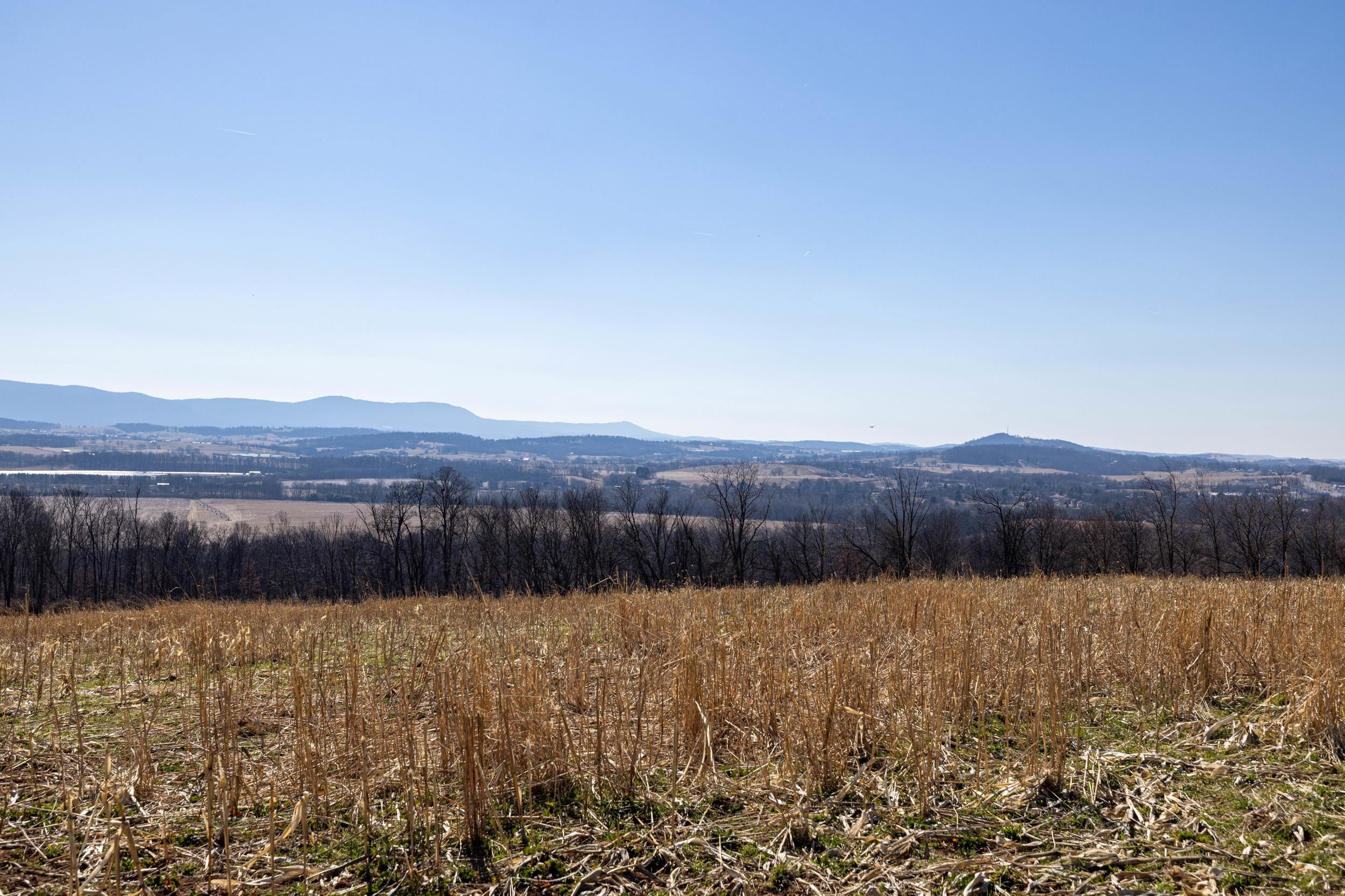 0 NEIGHBORS LN, TIMBERVILLE, Virginia 22853, ,Land,0 NEIGHBORS LN,673882 MLS # 673882