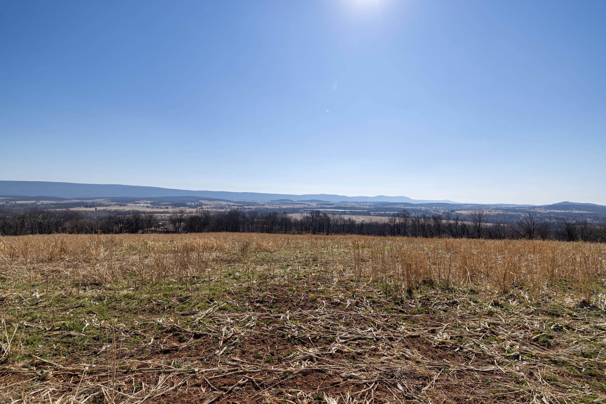 0 NEIGHBORS LN, TIMBERVILLE, Virginia 22853, ,Land,0 NEIGHBORS LN,673882 MLS # 673882