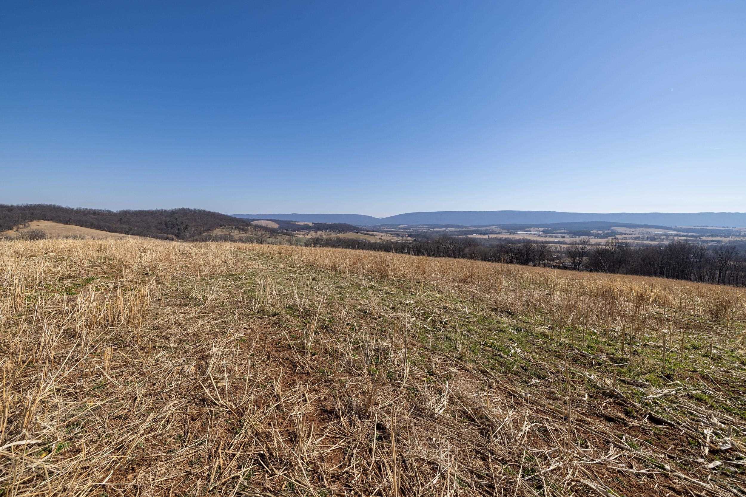0 NEIGHBORS LN, TIMBERVILLE, Virginia 22853, ,Land,0 NEIGHBORS LN,673882 MLS # 673882