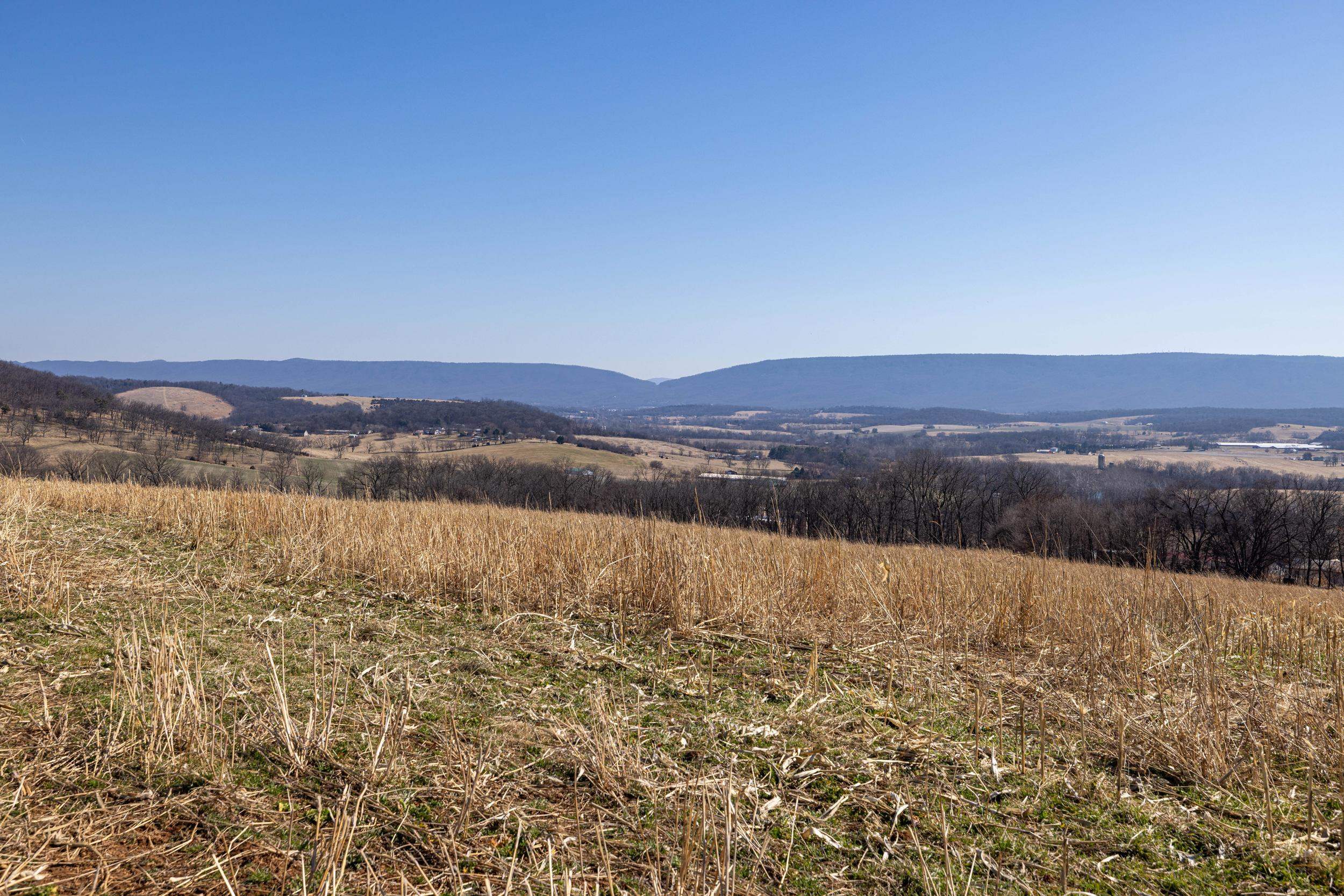 0 NEIGHBORS LN, TIMBERVILLE, Virginia 22853, ,Land,0 NEIGHBORS LN,673882 MLS # 673882