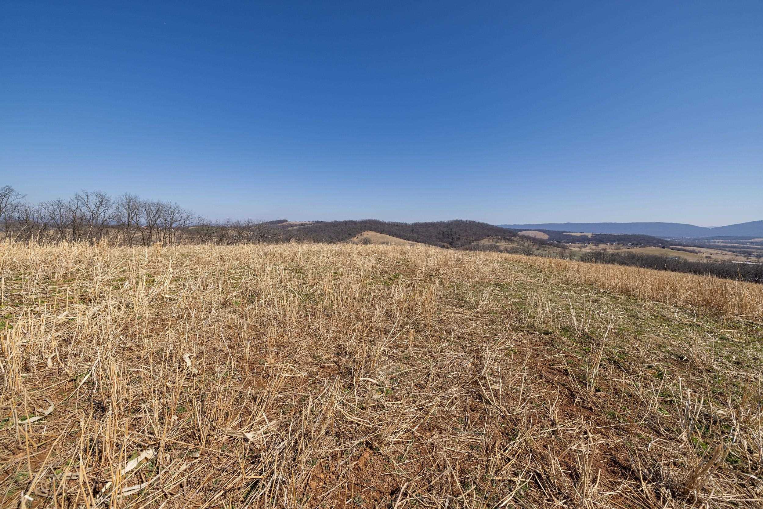 0 NEIGHBORS LN, TIMBERVILLE, Virginia 22853, ,Land,0 NEIGHBORS LN,673882 MLS # 673882