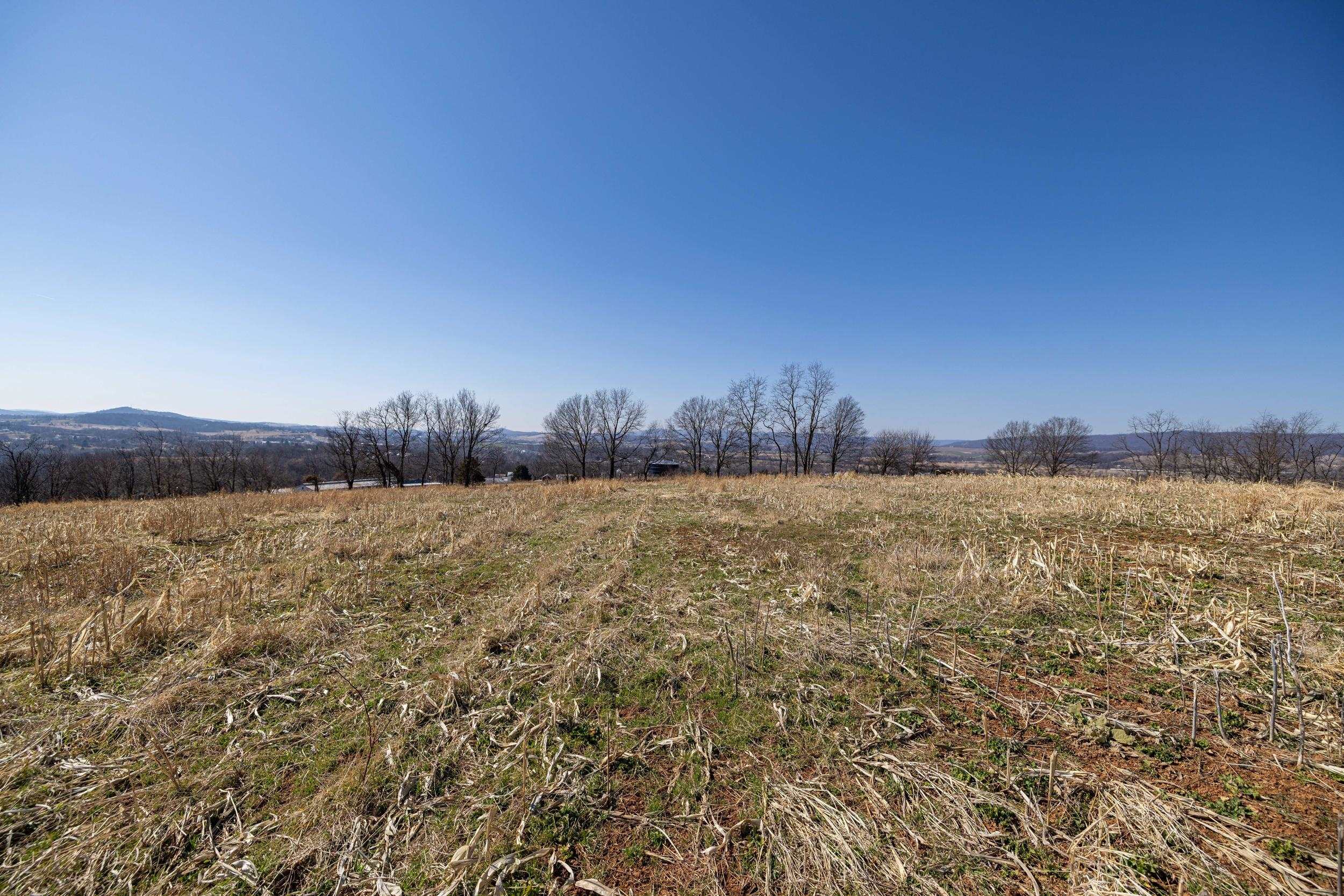 0 NEIGHBORS LN, TIMBERVILLE, Virginia 22853, ,Land,0 NEIGHBORS LN,673882 MLS # 673882
