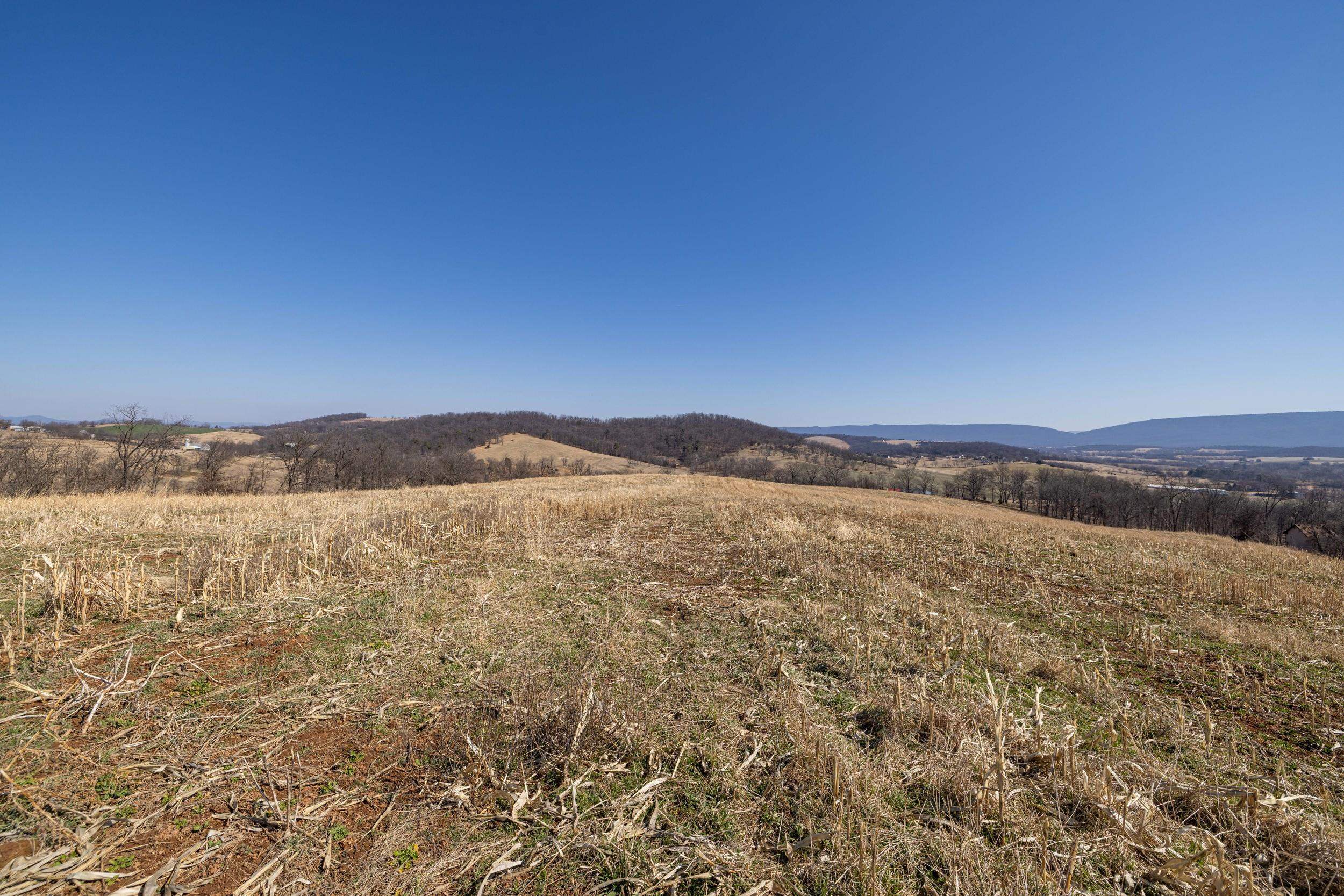 0 NEIGHBORS LN, TIMBERVILLE, Virginia 22853, ,Land,0 NEIGHBORS LN,673882 MLS # 673882