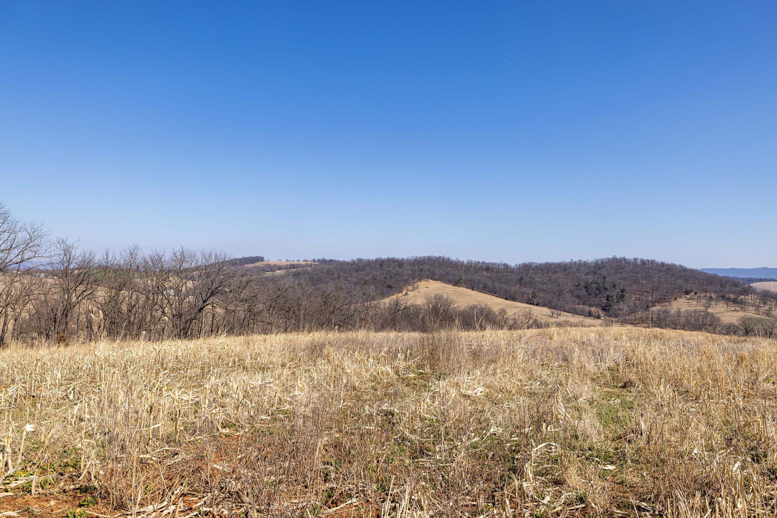 0 NEIGHBORS LN, TIMBERVILLE, Virginia 22853, ,Land,0 NEIGHBORS LN,673882 MLS # 673882