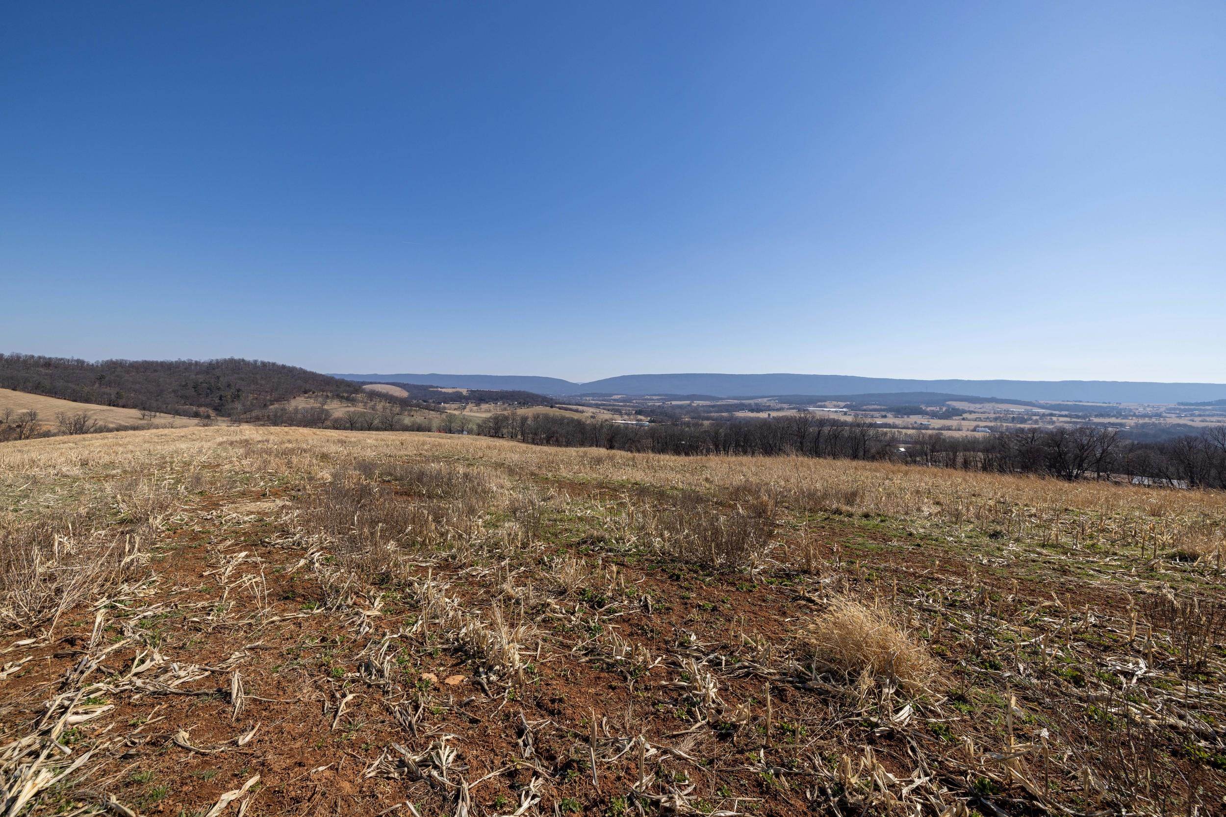 0 NEIGHBORS LN, TIMBERVILLE, Virginia 22853, ,Land,0 NEIGHBORS LN,673882 MLS # 673882