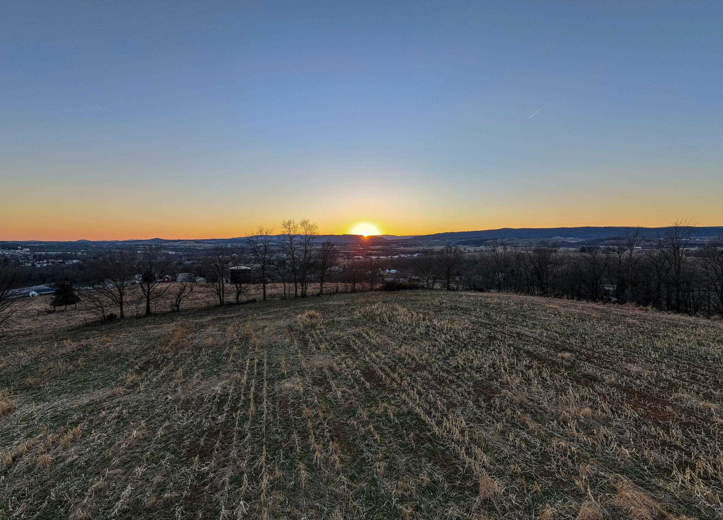 0 NEIGHBORS LN, TIMBERVILLE, Virginia 22853, ,Land,0 NEIGHBORS LN,673882 MLS # 673882