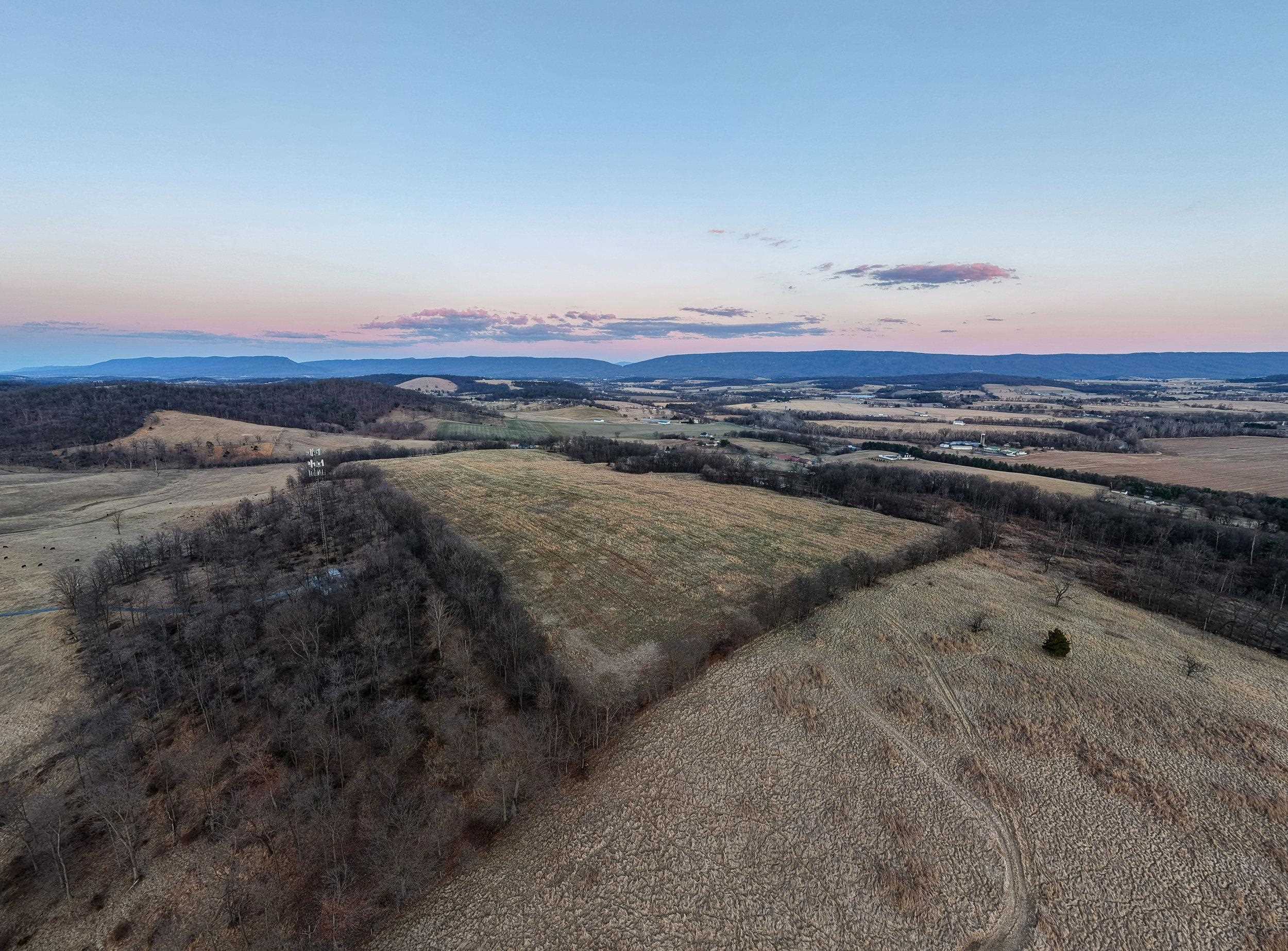 0 NEIGHBORS LN, TIMBERVILLE, Virginia 22853, ,Land,0 NEIGHBORS LN,673882 MLS # 673882