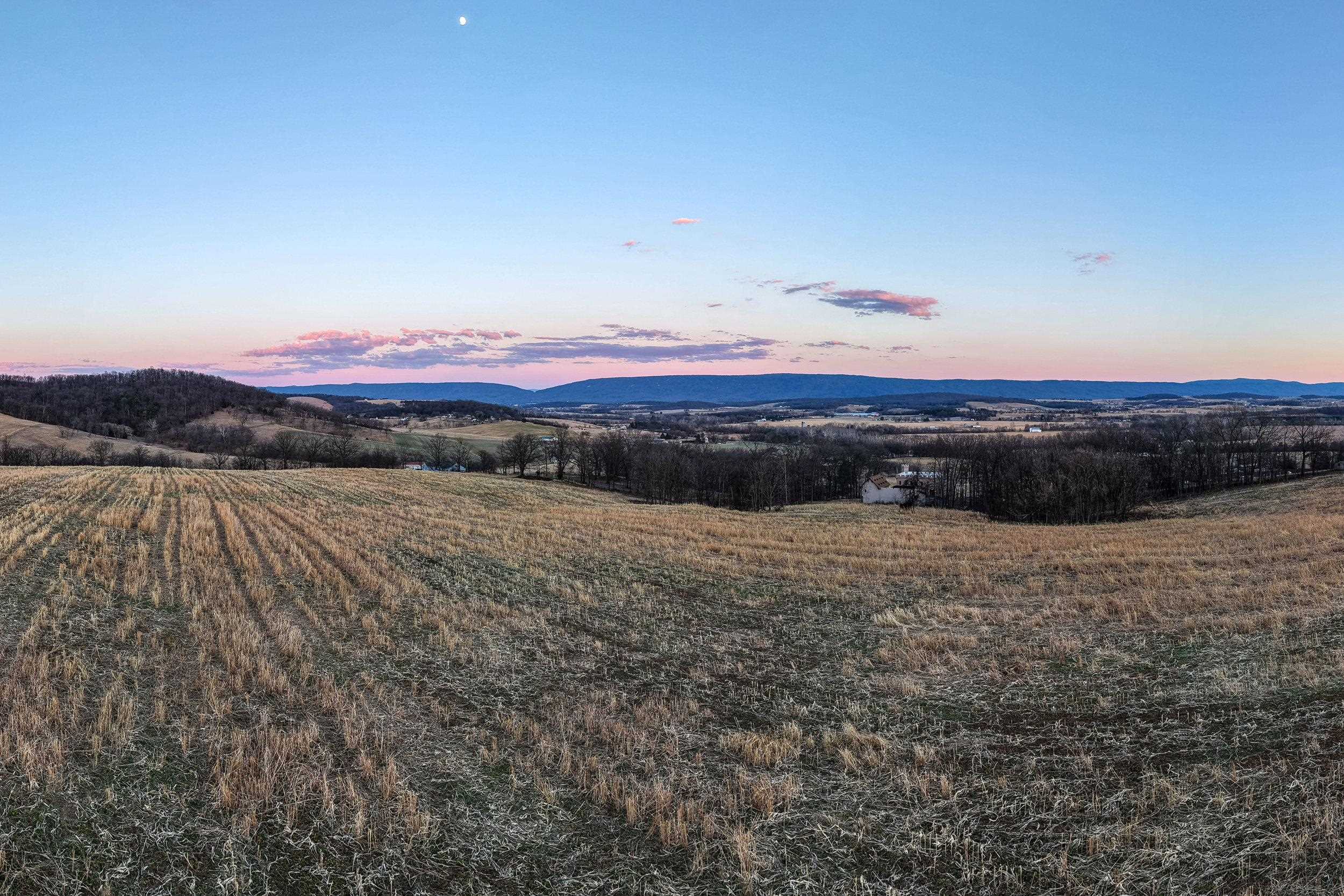 0 NEIGHBORS LN, TIMBERVILLE, Virginia 22853, ,Land,0 NEIGHBORS LN,673882 MLS # 673882