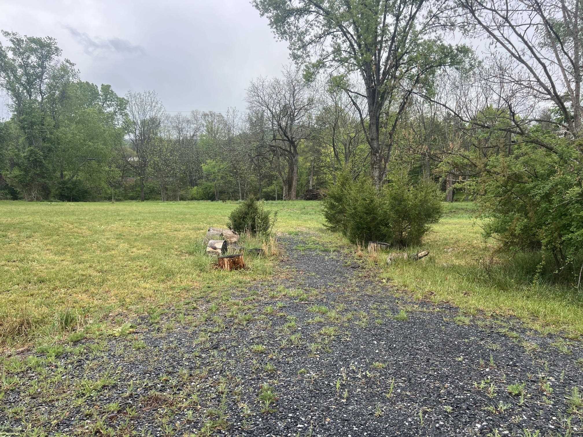 TBD COLD SPRINGS RD, RAPHINE, Virginia 24472, ,Land,TBD COLD SPRINGS RD,677045 MLS # 677045