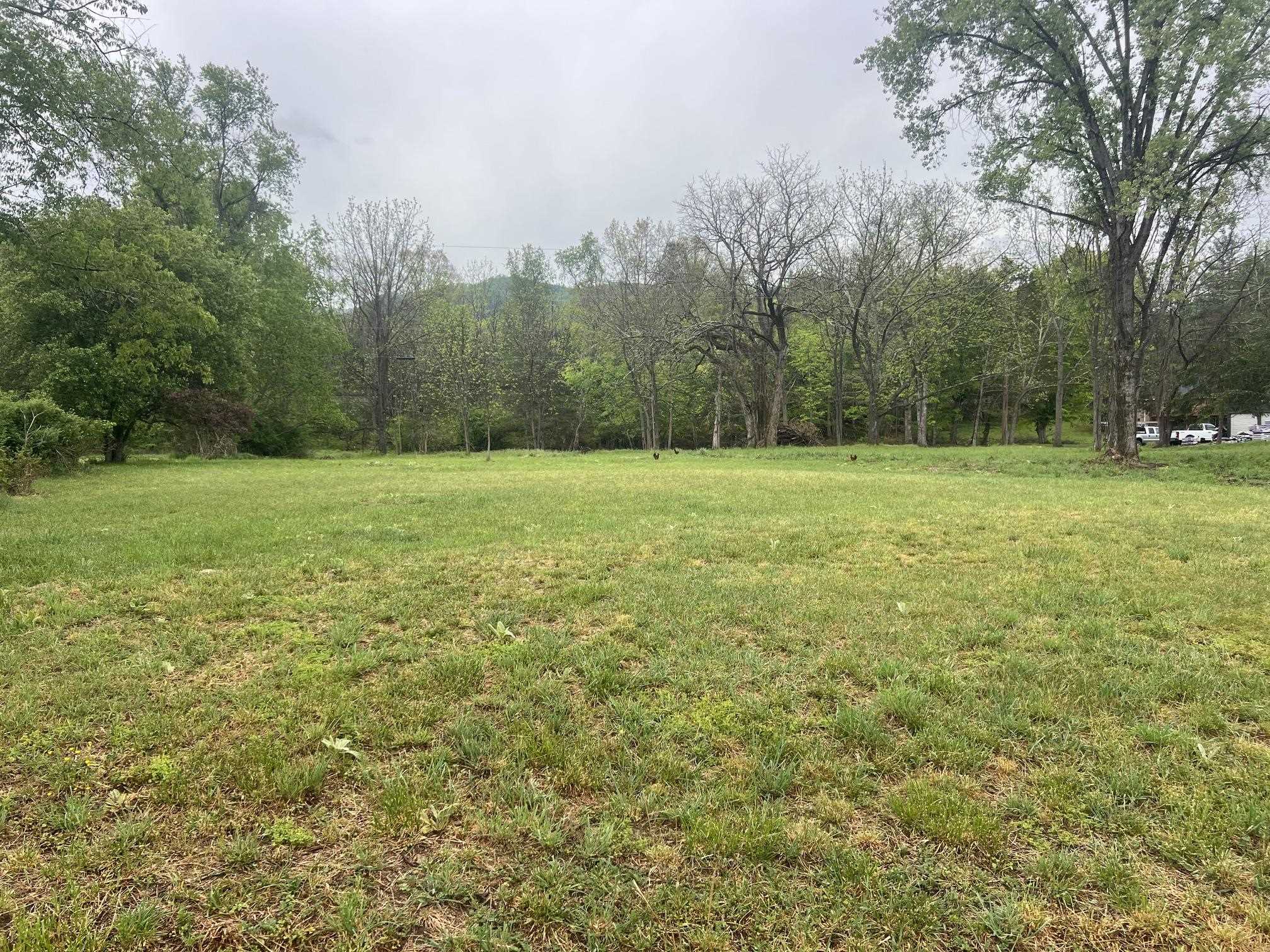 TBD COLD SPRINGS RD, RAPHINE, Virginia 24472, ,Land,TBD COLD SPRINGS RD,677045 MLS # 677045
