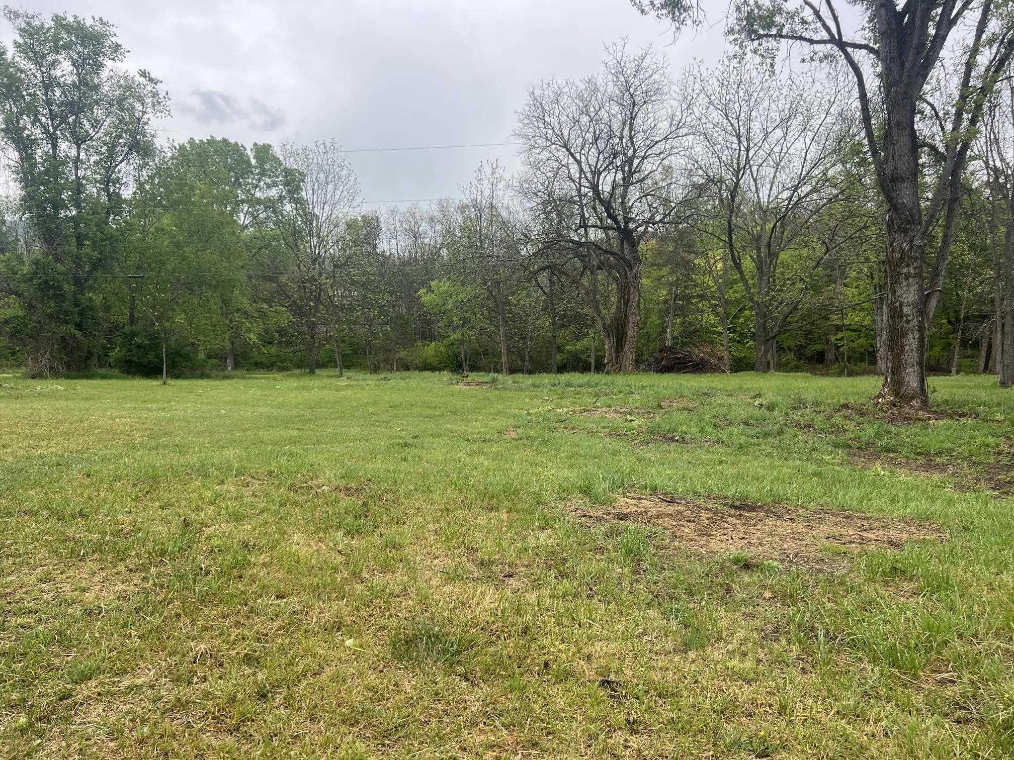 TBD COLD SPRINGS RD, RAPHINE, Virginia 24472, ,Land,TBD COLD SPRINGS RD,677045 MLS # 677045