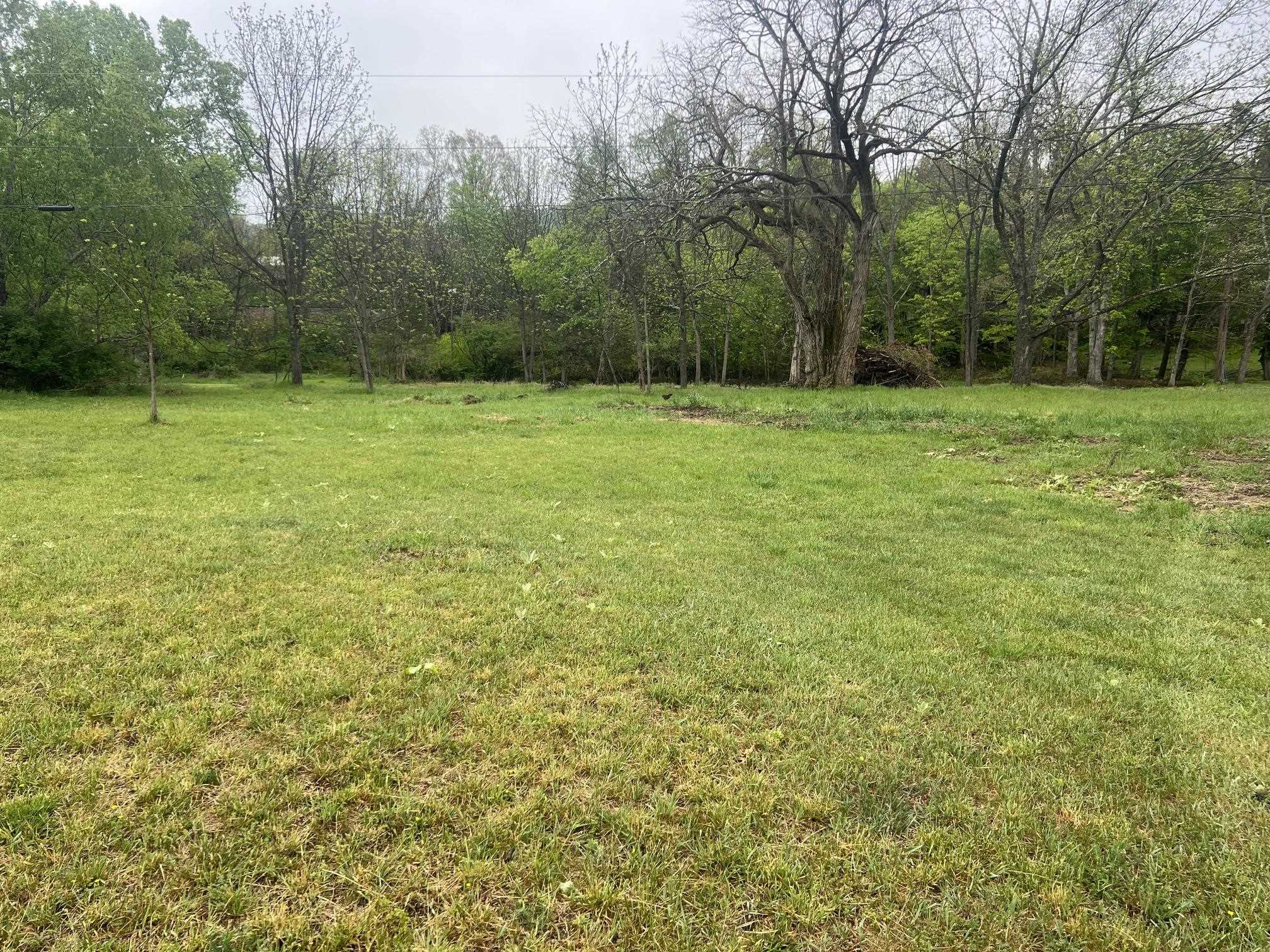 TBD COLD SPRINGS RD, RAPHINE, Virginia 24472, ,Land,TBD COLD SPRINGS RD,677045 MLS # 677045