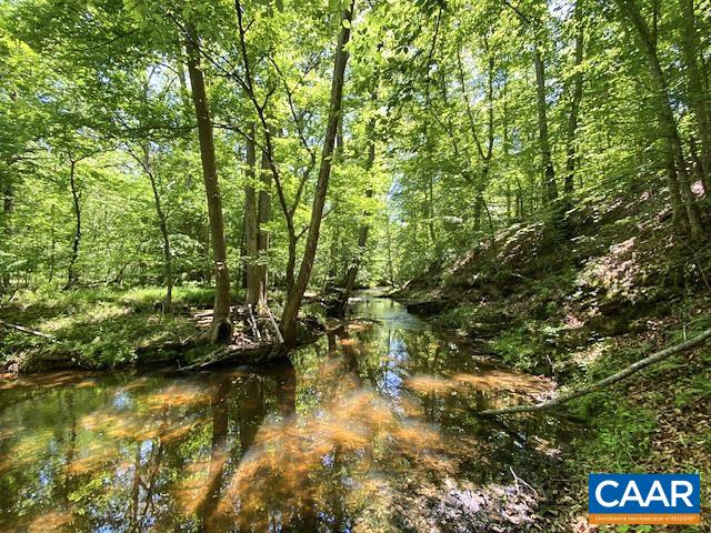 15400 JAMES MADISON HWY, PALMYRA, Virginia 22963, 3 Bedrooms Bedrooms, ,1 BathroomBathrooms,Residential,Cottage with Stream on 6+ acres!,15400 JAMES MADISON HWY,677068 MLS # 677068
