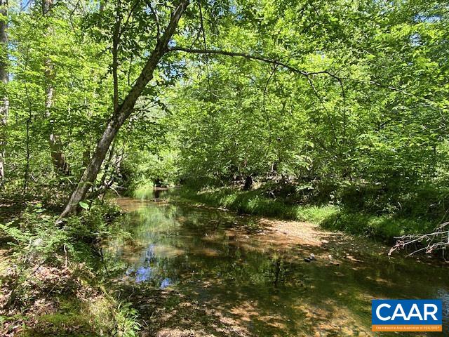 15400 JAMES MADISON HWY, PALMYRA, Virginia 22963, 3 Bedrooms Bedrooms, ,1 BathroomBathrooms,Residential,Cottage with Stream on 6+ acres!,15400 JAMES MADISON HWY,677068 MLS # 677068