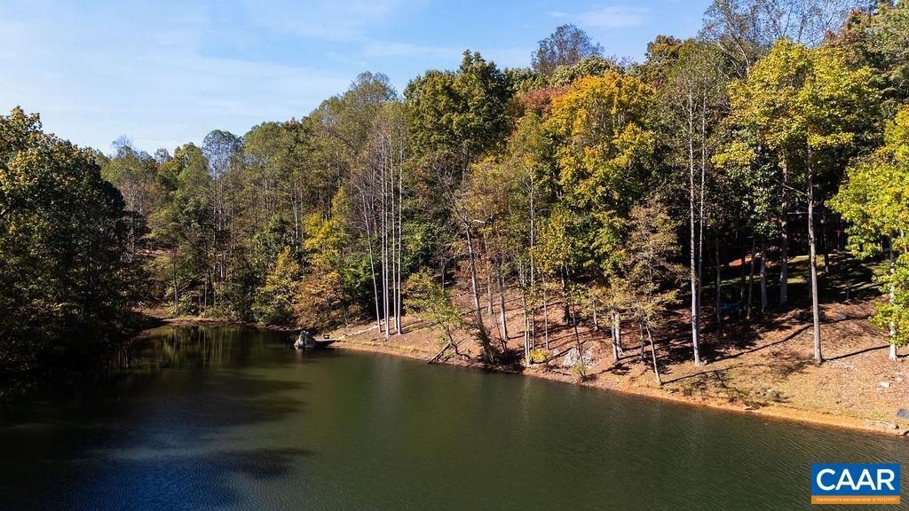 105 SADDLEBACK KNL, NELLYSFORD, Virginia 22958, 5 Bedrooms Bedrooms, ,4 BathroomsBathrooms,Residential,PAVILLIONS,105 SADDLEBACK KNL,677042 MLS # 677042