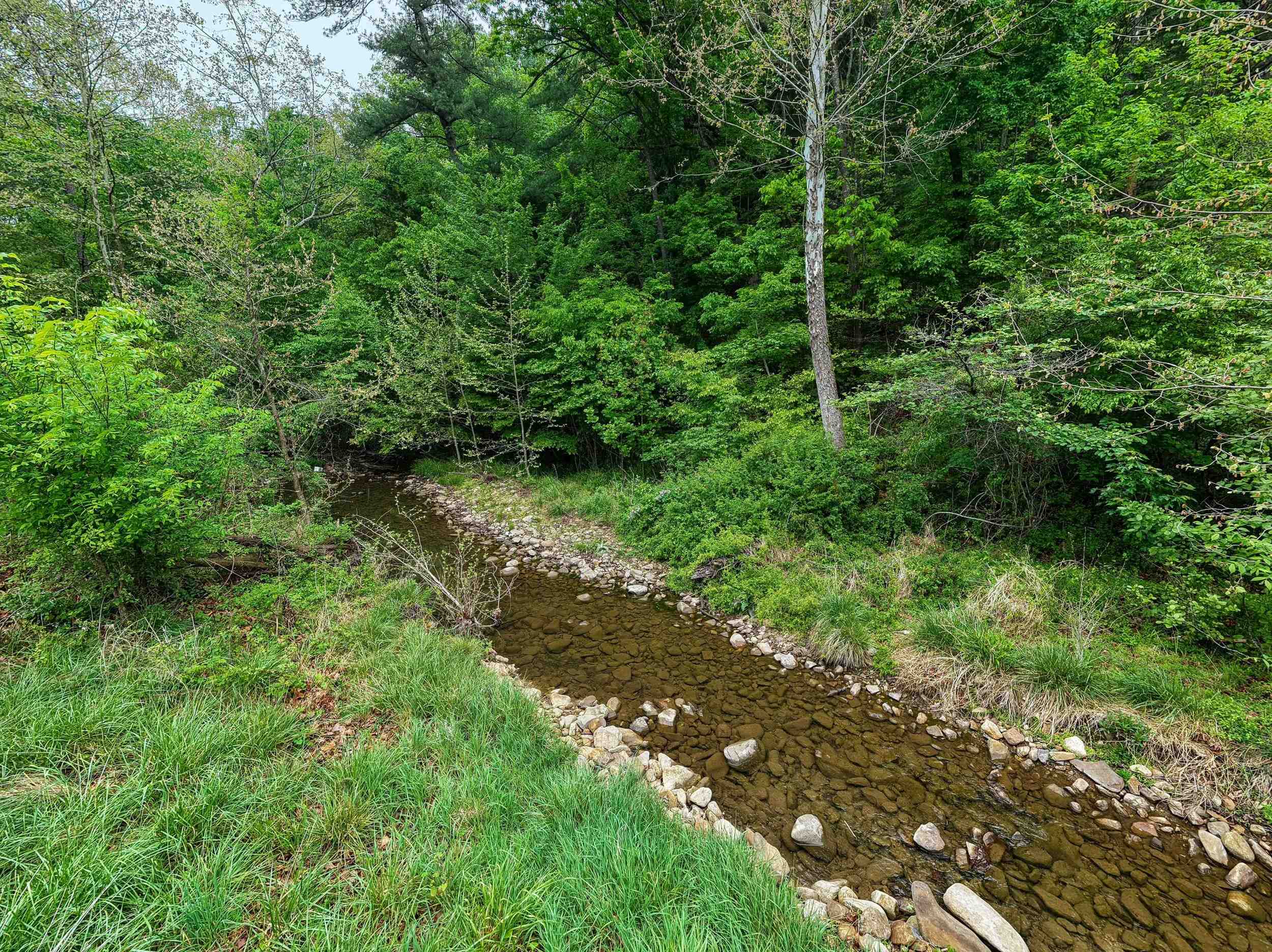 2645 DRY RUN RD, LURAY, Virginia 22835, 5 Bedrooms Bedrooms, ,2 BathroomsBathrooms,Residential,2645 DRY RUN RD,677057 MLS # 677057