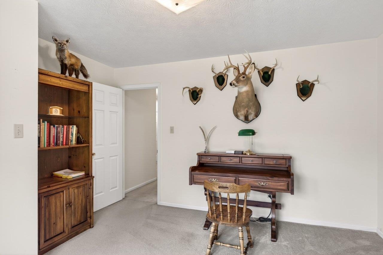 2220 PINEWOODS RD, QUICKSBURG, Virginia 22847, 3 Bedrooms Bedrooms, ,2 BathroomsBathrooms,Residential,Peaceful One-Level Living on 3.001 Private Acres,2220 PINEWOODS RD,677058 MLS # 677058