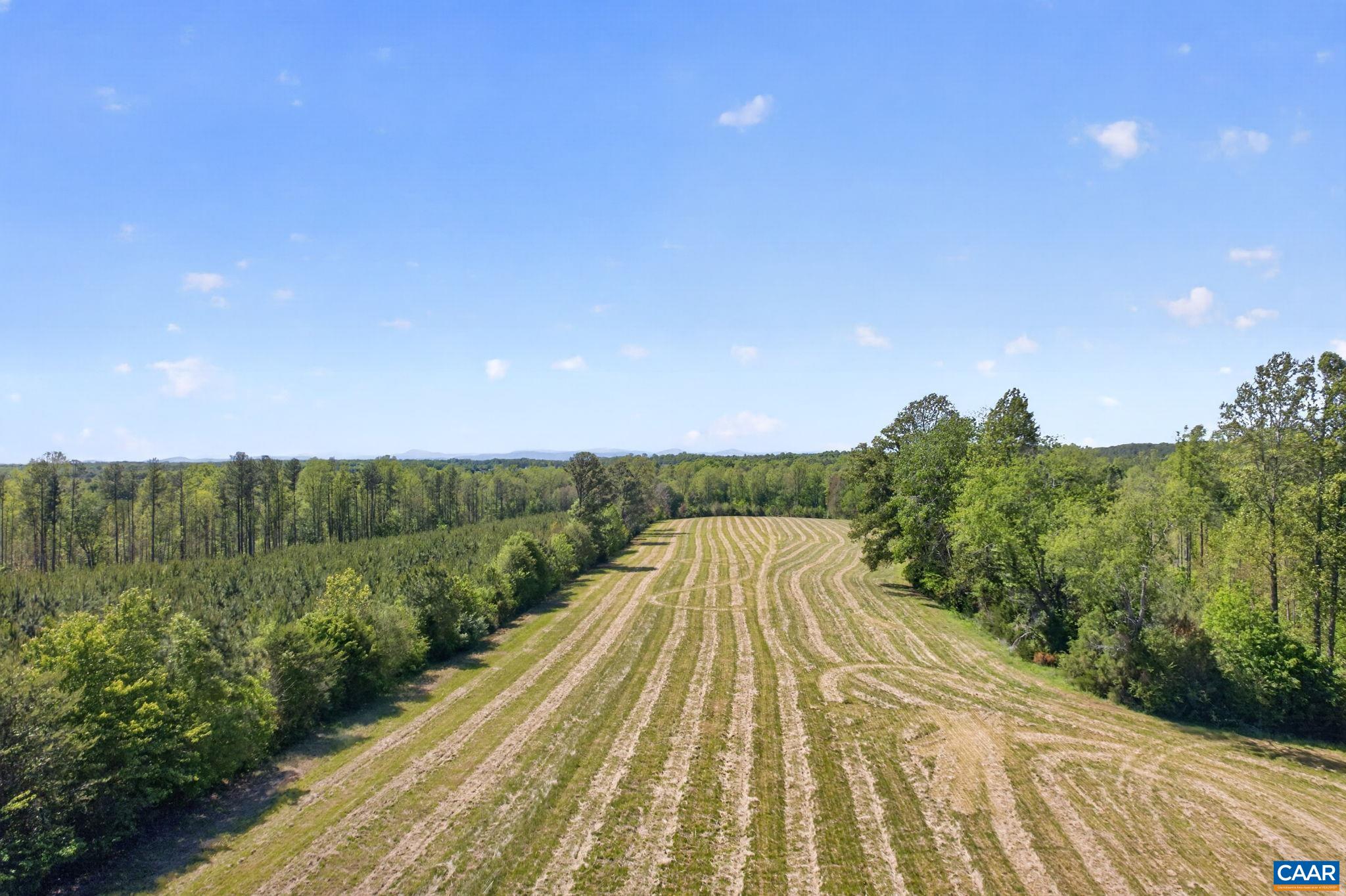 Lot 5 SHORES RD, PALMYRA, Virginia 22963, ,Land,Lot 5 SHORES RD,677089 MLS # 677089