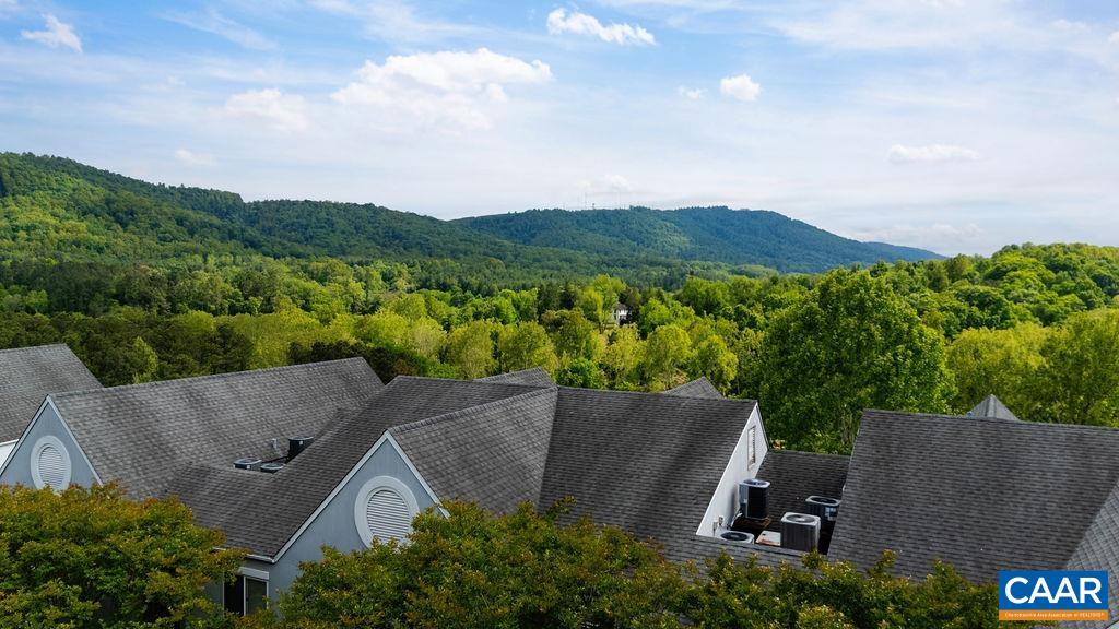 1604 MONTICELLO AVE, CHARLOTTESVILLE, Virginia 22902, 2 Bedrooms Bedrooms, ,2 BathroomsBathrooms,Residential,1604 MONTICELLO AVE,677075 MLS # 677075