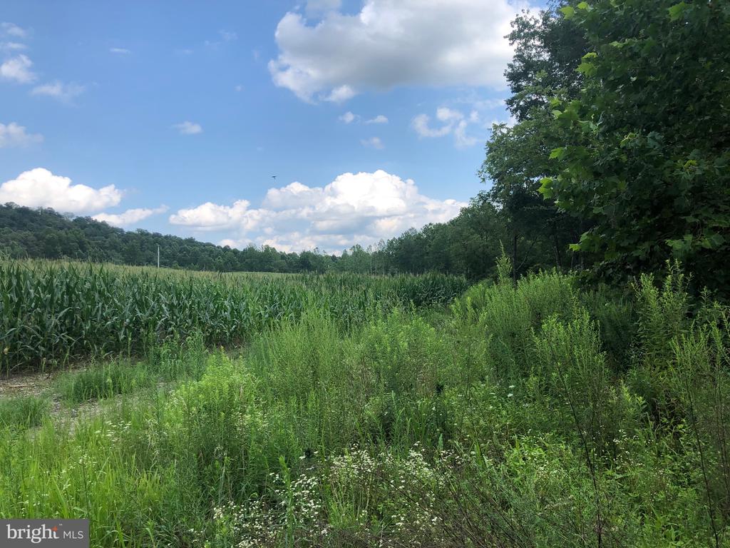 ORANGE RD., ARODA, Virginia 22709, ,Land,ORANGE RD.,VAMA2002766 MLS # VAMA2002766