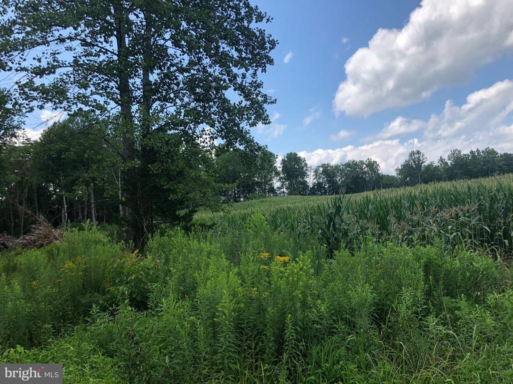 ORANGE RD., ARODA, Virginia 22709, ,Land,ORANGE RD.,VAMA2002766 MLS # VAMA2002766