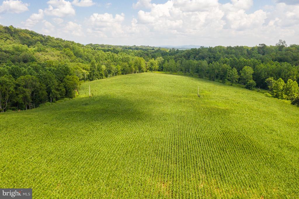 ORANGE RD., ARODA, Virginia 22709, ,Land,ORANGE RD.,VAMA2002766 MLS # VAMA2002766