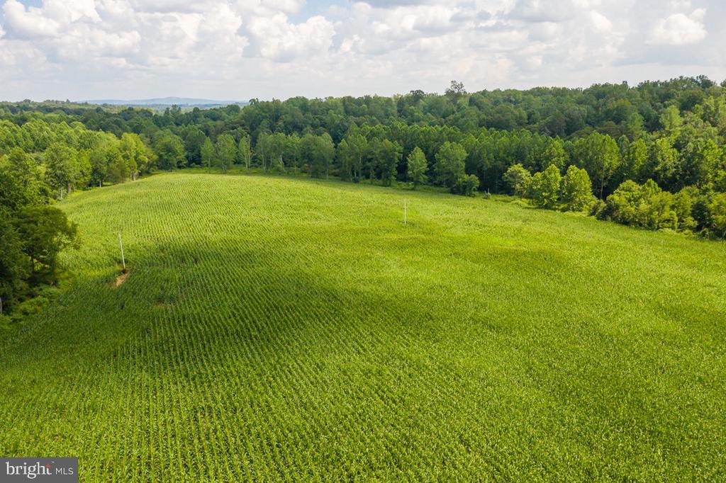 ORANGE RD., ARODA, Virginia 22709, ,Land,ORANGE RD.,VAMA2002766 MLS # VAMA2002766