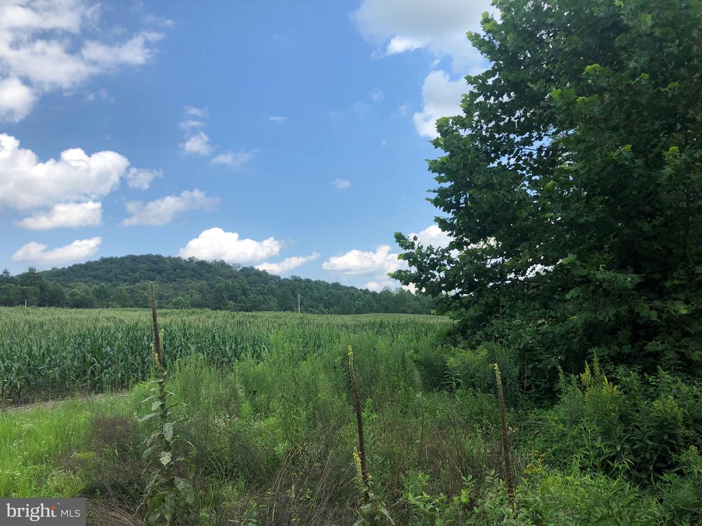ORANGE RD., ARODA, Virginia 22709, ,Land,ORANGE RD.,VAMA2002766 MLS # VAMA2002766