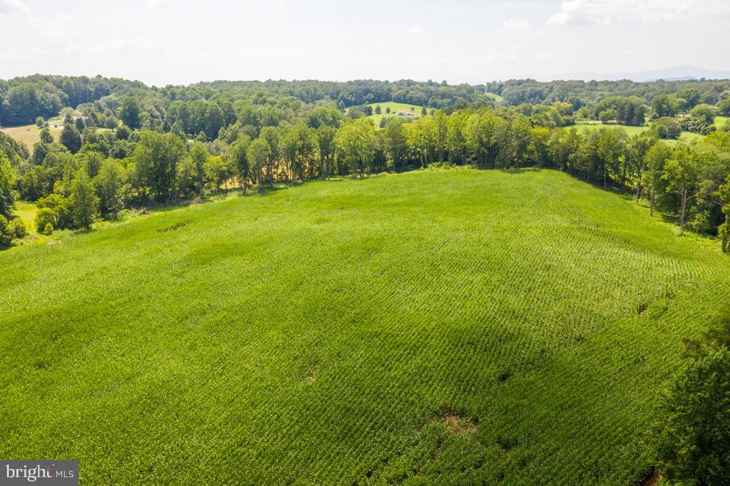 ORANGE RD., ARODA, Virginia 22709, ,Land,ORANGE RD.,VAMA2002766 MLS # VAMA2002766