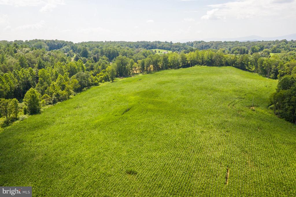 ORANGE RD., ARODA, Virginia 22709, ,Land,ORANGE RD.,VAMA2002766 MLS # VAMA2002766