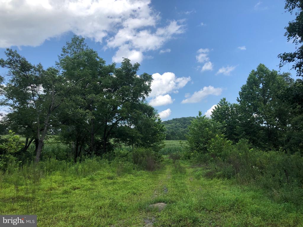 ORANGE RD., ARODA, Virginia 22709, ,Land,ORANGE RD.,VAMA2002766 MLS # VAMA2002766