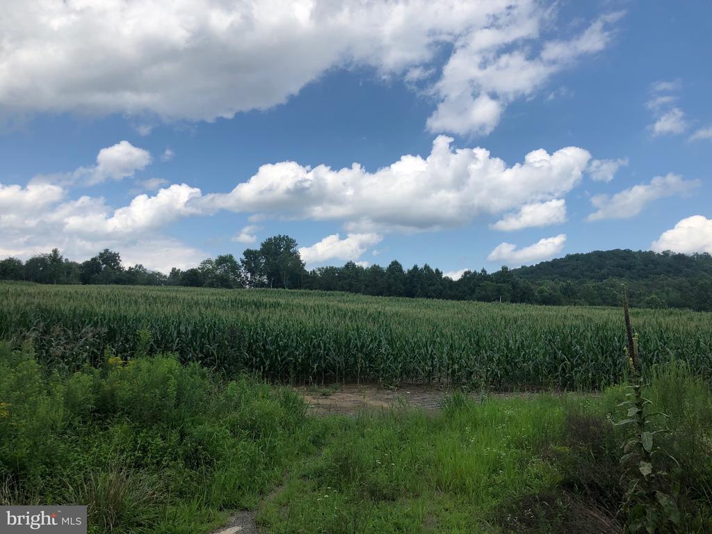 ORANGE RD., ARODA, Virginia 22709, ,Land,ORANGE RD.,VAMA2002766 MLS # VAMA2002766