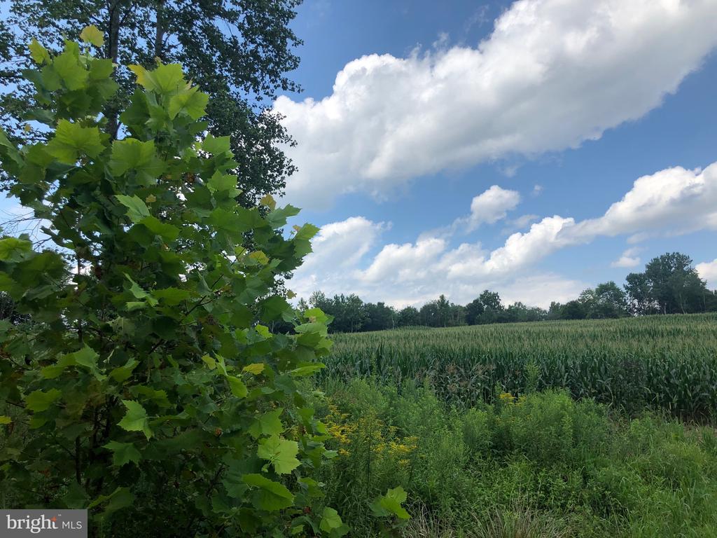 ORANGE RD., ARODA, Virginia 22709, ,Land,ORANGE RD.,VAMA2002766 MLS # VAMA2002766