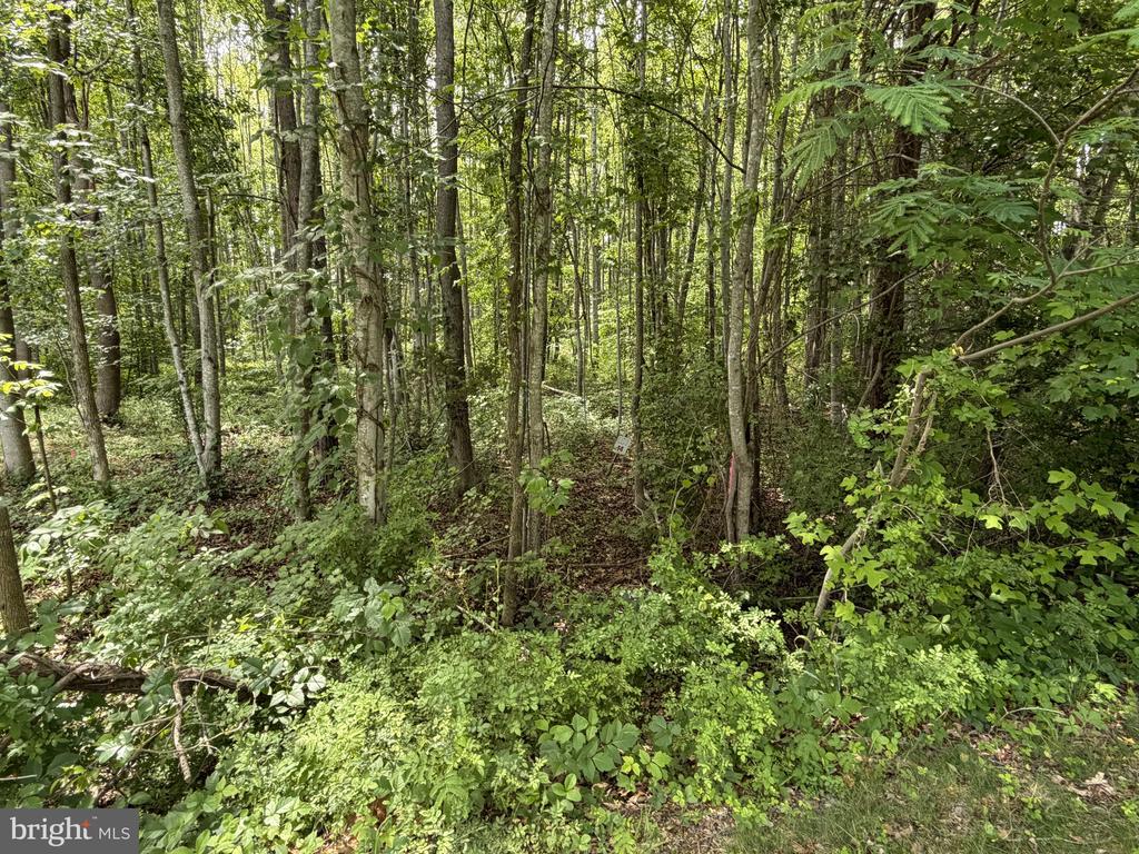 OVERTON DR, BUMPASS, Virginia 23024, ,Land,OVERTON DR,VALA2009852 MLS # VALA2009852