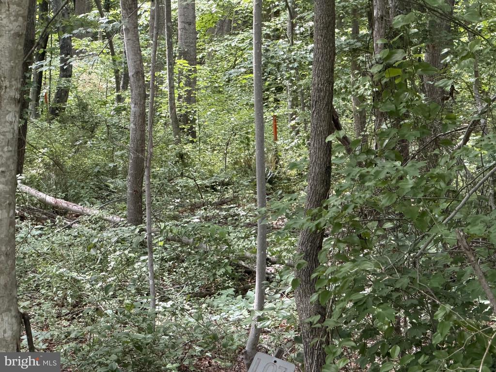 OVERTON DR, BUMPASS, Virginia 23024, ,Land,OVERTON DR,VALA2009852 MLS # VALA2009852