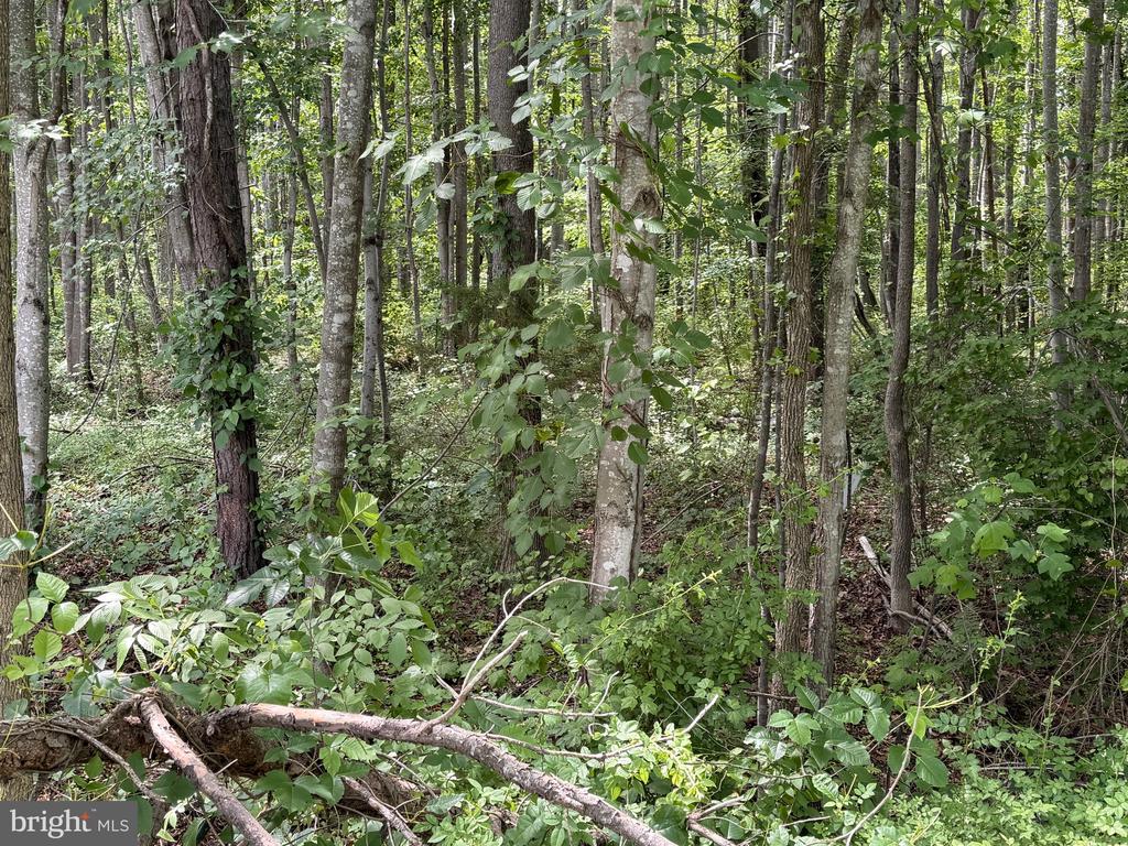 OVERTON DR, BUMPASS, Virginia 23024, ,Land,OVERTON DR,VALA2009852 MLS # VALA2009852
