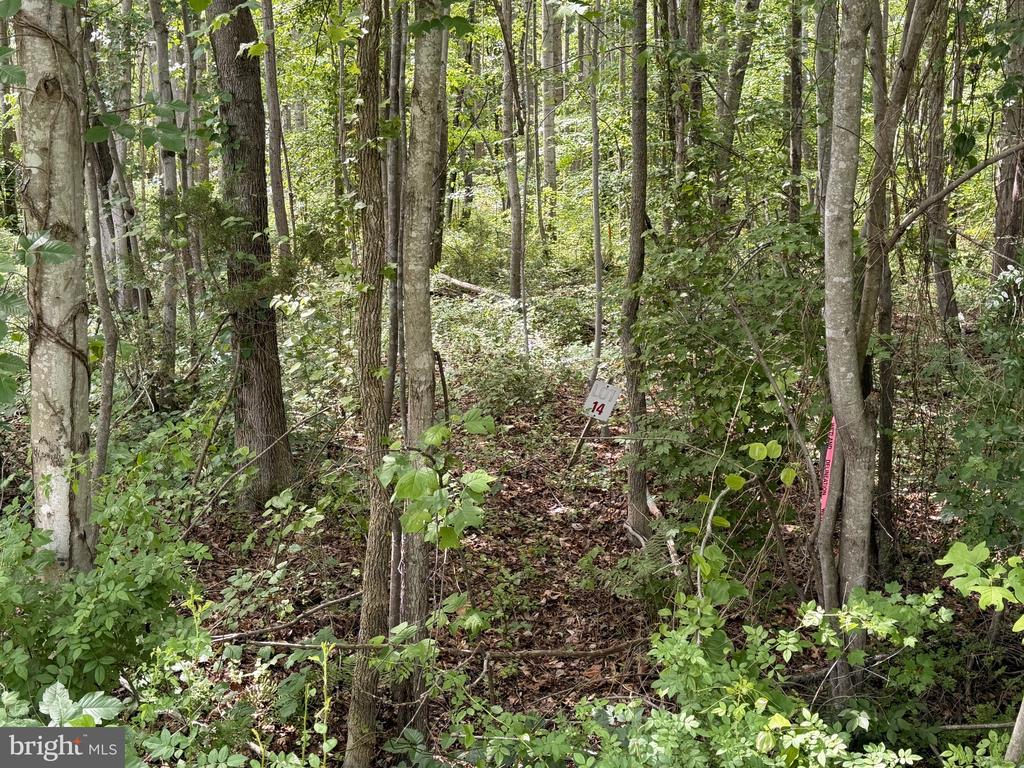 OVERTON DR, BUMPASS, Virginia 23024, ,Land,OVERTON DR,VALA2009852 MLS # VALA2009852