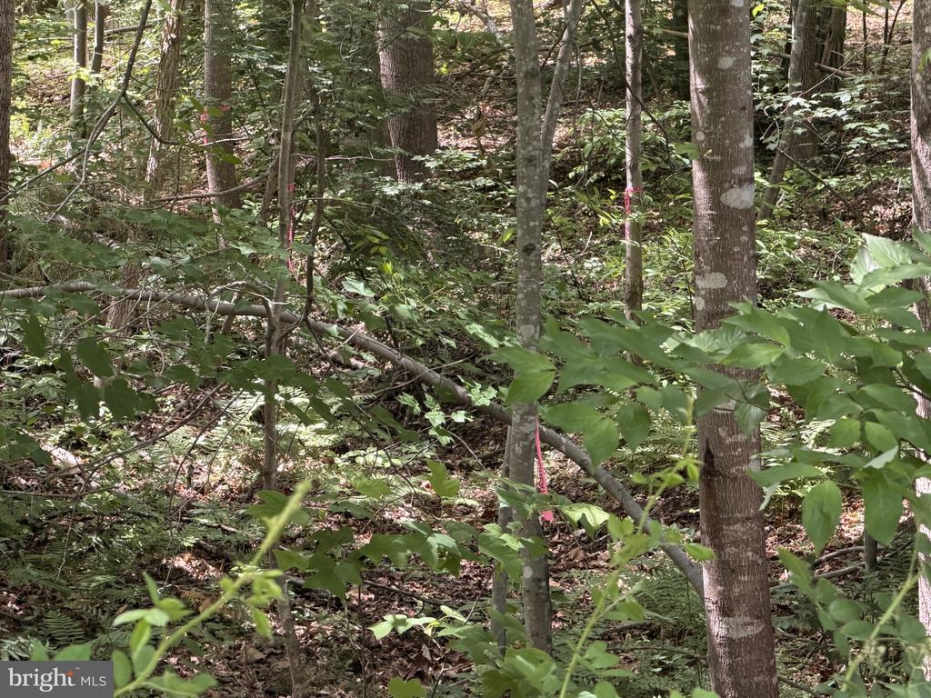 OVERTON DR, BUMPASS, Virginia 23024, ,Land,OVERTON DR,VALA2009852 MLS # VALA2009852