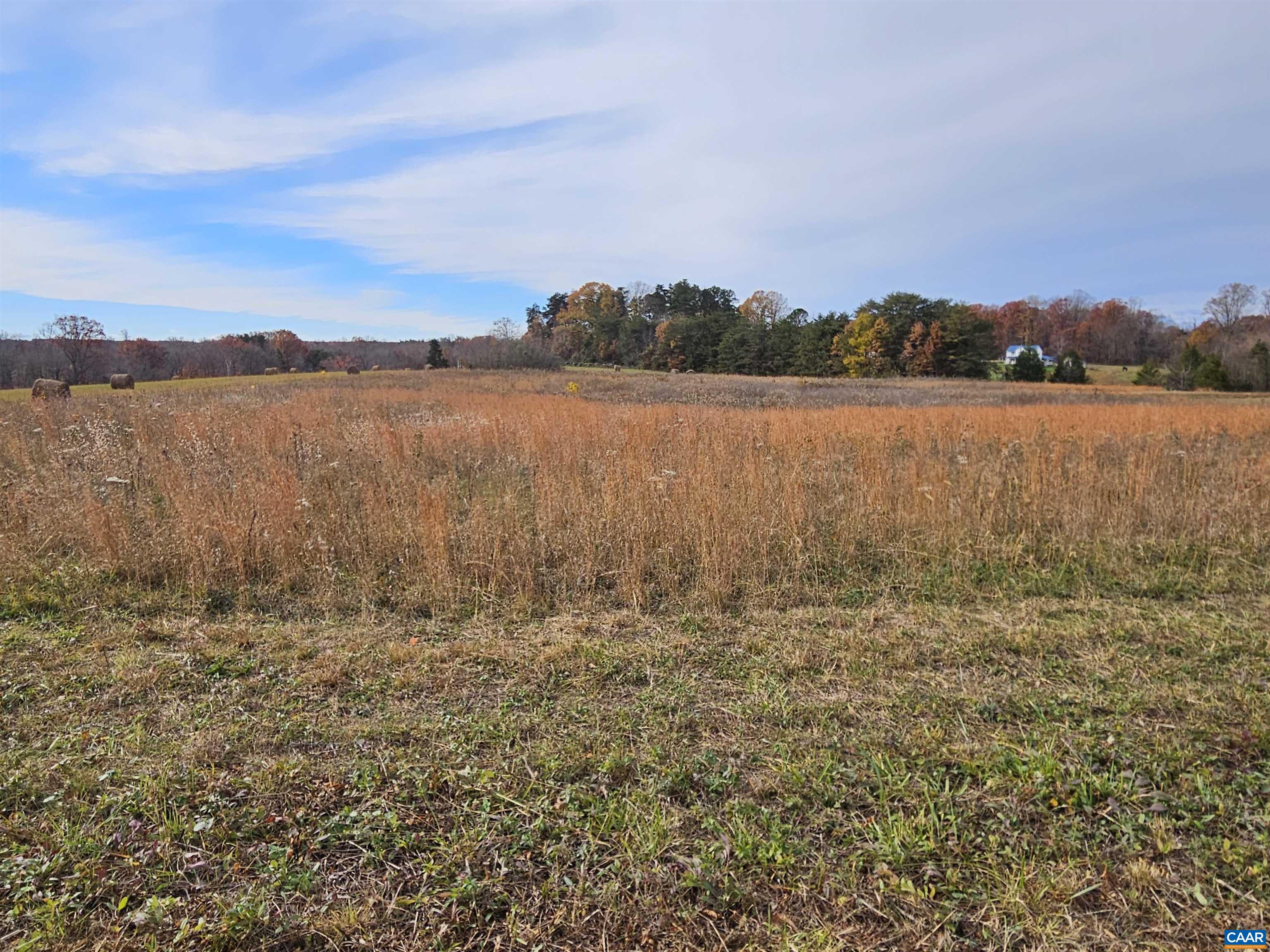 5.3 Ac W JAMES ANDERSON HWY, BUCKINGHAM, Virginia 23921, ,Land,5.3 Ac W JAMES ANDERSON HWY,677108 MLS # 677108