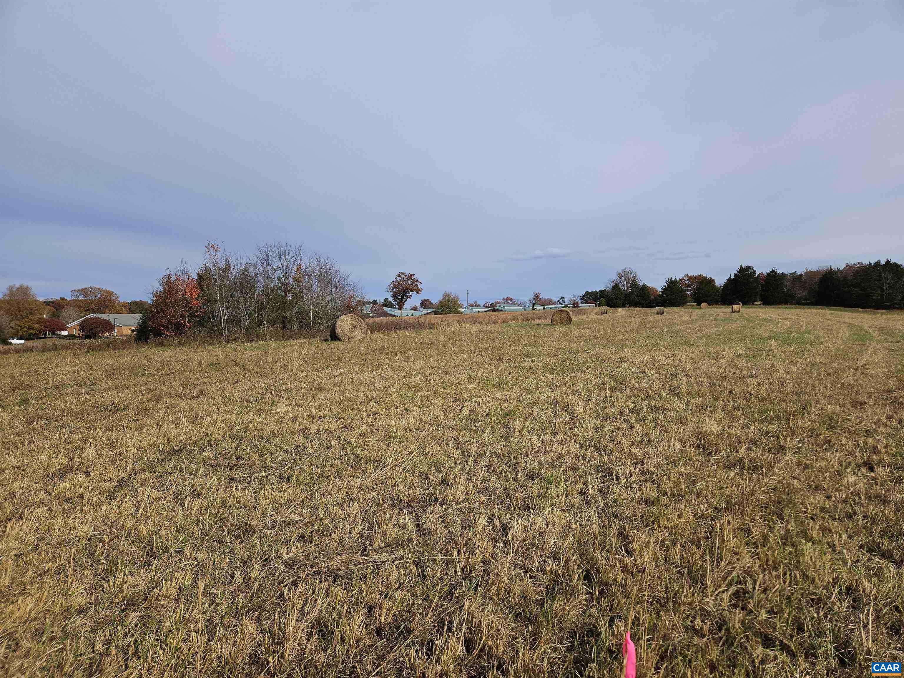 5.3 Ac W JAMES ANDERSON HWY, BUCKINGHAM, Virginia 23921, ,Land,5.3 Ac W JAMES ANDERSON HWY,677108 MLS # 677108