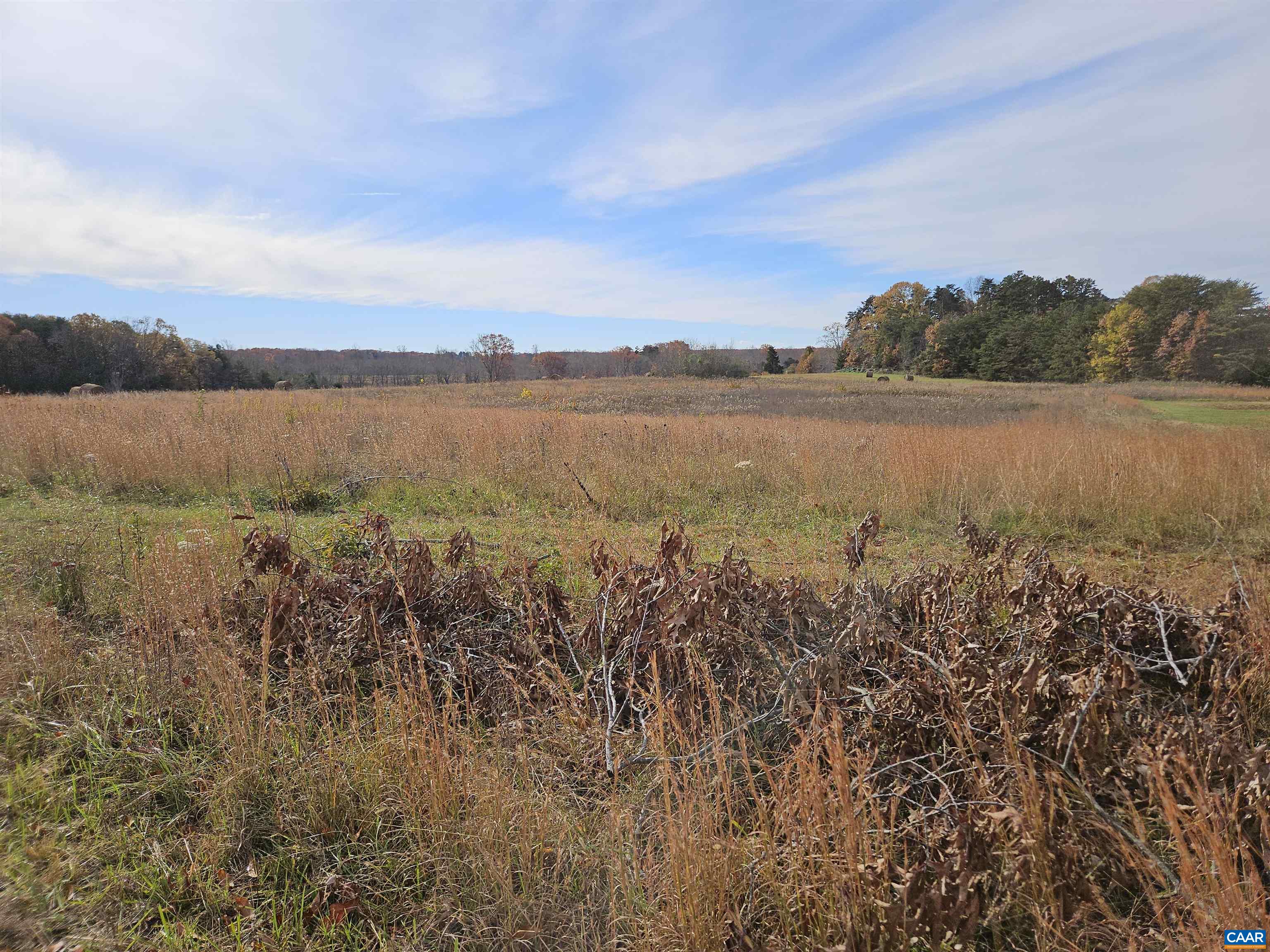 5.3 Ac W JAMES ANDERSON HWY, BUCKINGHAM, Virginia 23921, ,Land,5.3 Ac W JAMES ANDERSON HWY,677108 MLS # 677108