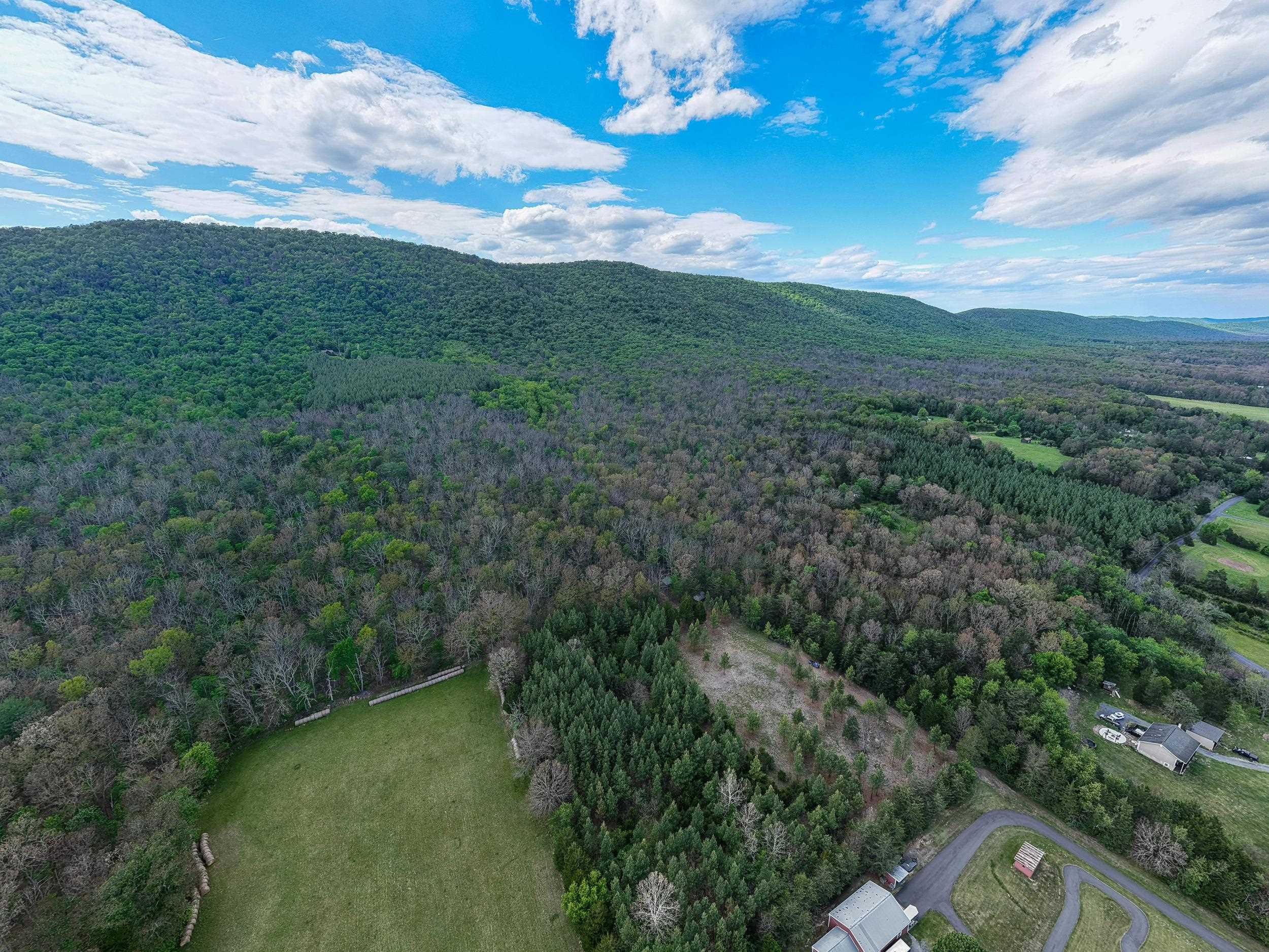 0 BOLIVER RD, FORT VALLEY, Virginia 22652, ,Land,0 BOLIVER RD,677110 MLS # 677110