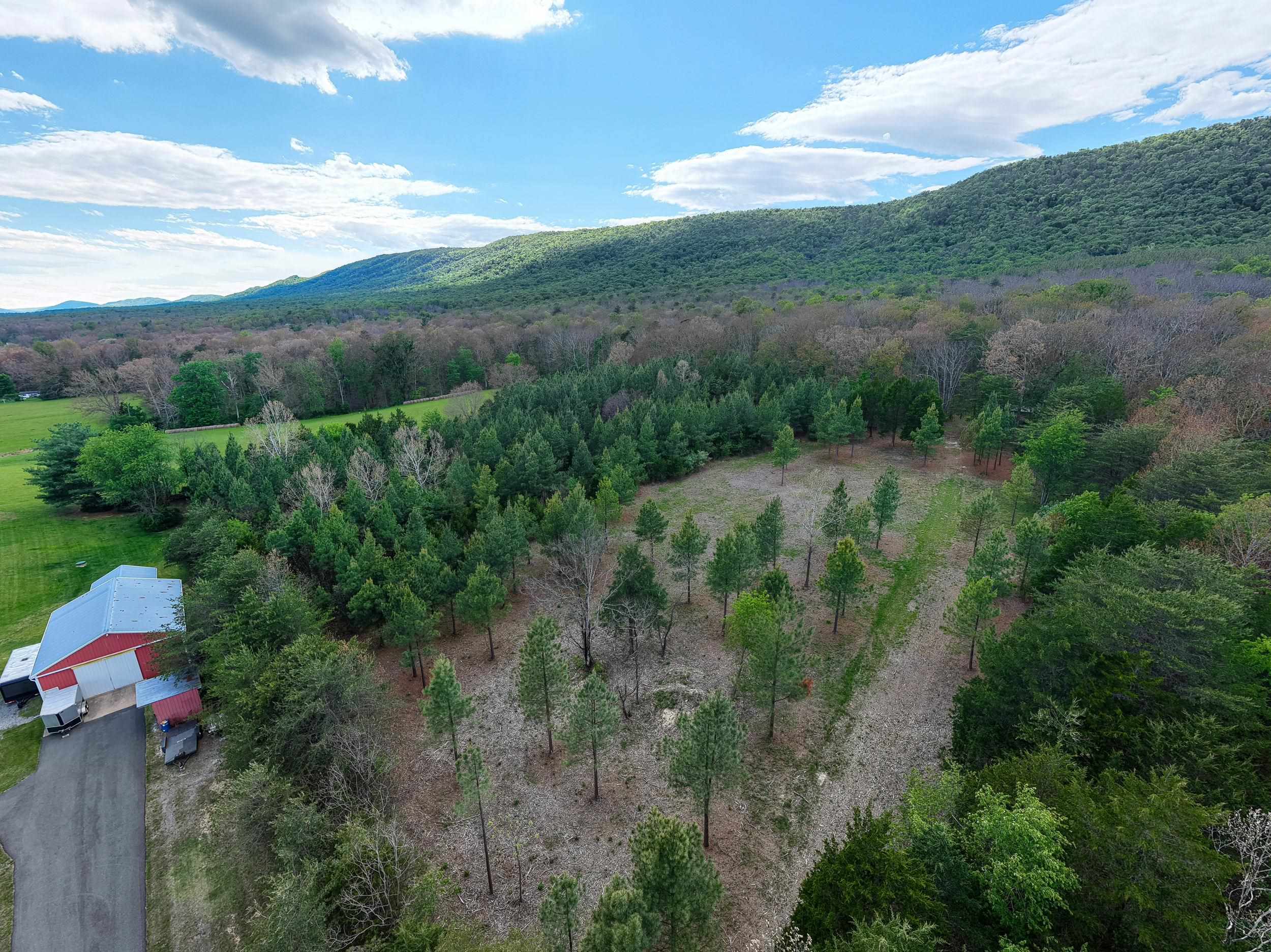 0 BOLIVER RD, FORT VALLEY, Virginia 22652, ,Land,0 BOLIVER RD,677110 MLS # 677110