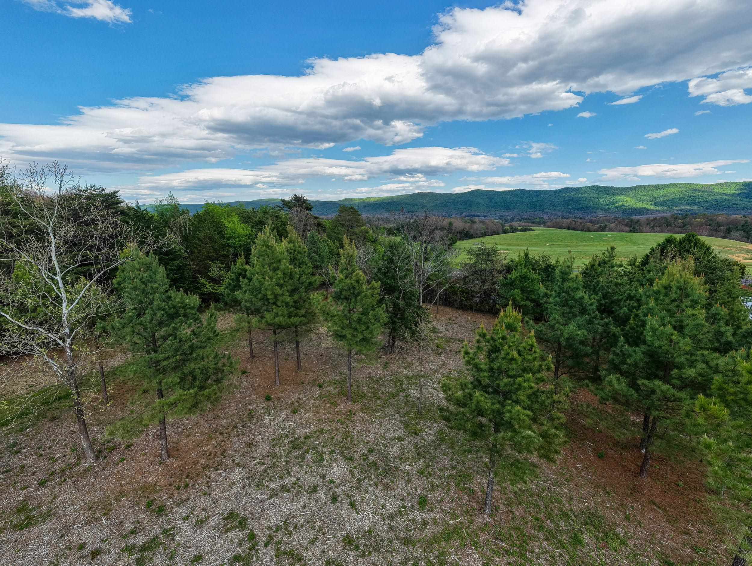 0 BOLIVER RD, FORT VALLEY, Virginia 22652, ,Land,0 BOLIVER RD,677110 MLS # 677110