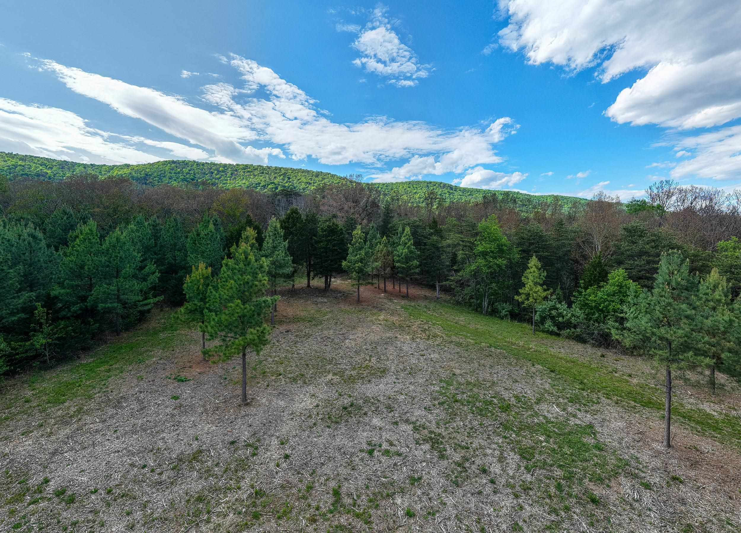 0 BOLIVER RD, FORT VALLEY, Virginia 22652, ,Land,0 BOLIVER RD,677110 MLS # 677110
