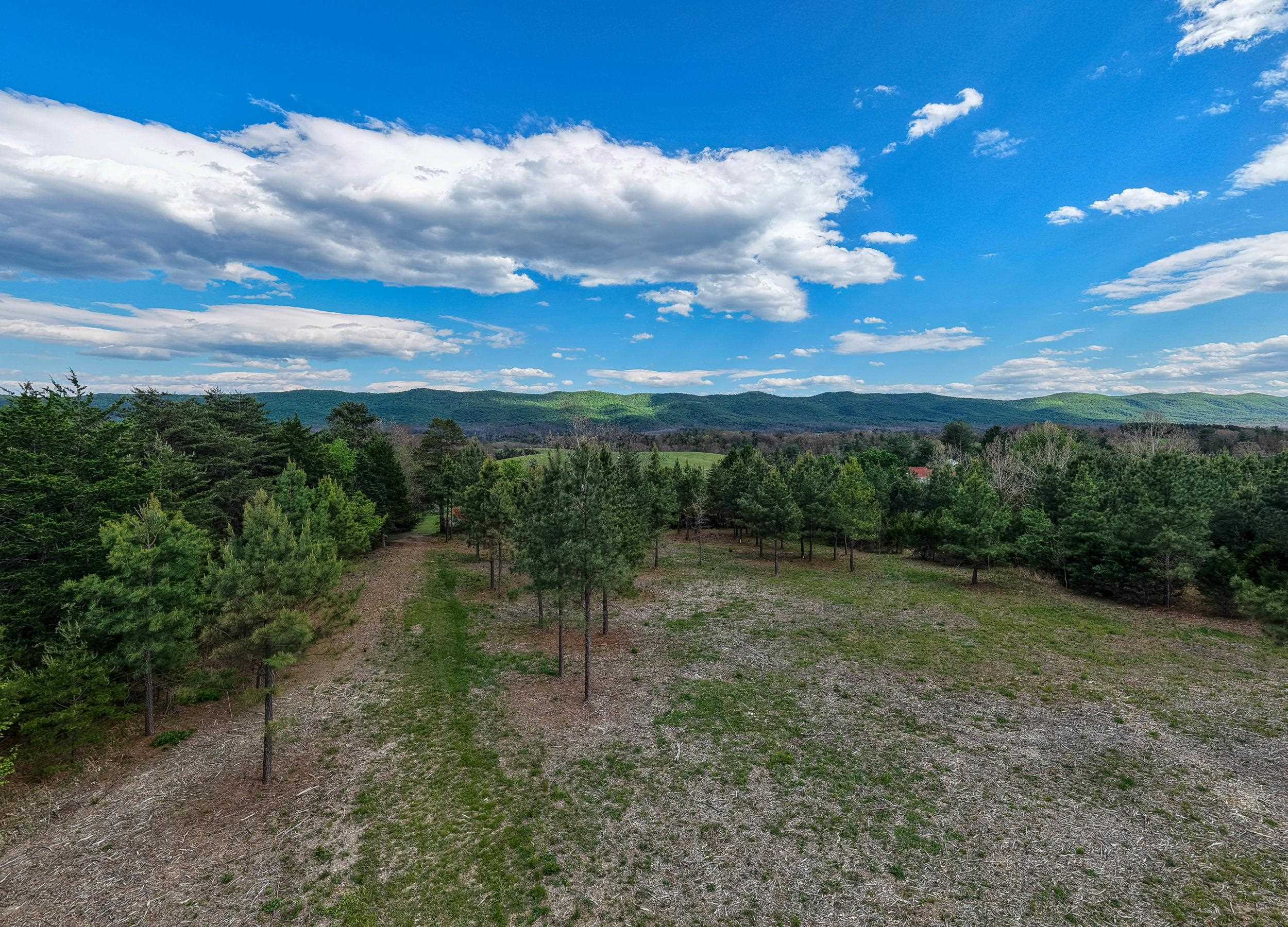 0 BOLIVER RD, FORT VALLEY, Virginia 22652, ,Land,0 BOLIVER RD,677110 MLS # 677110