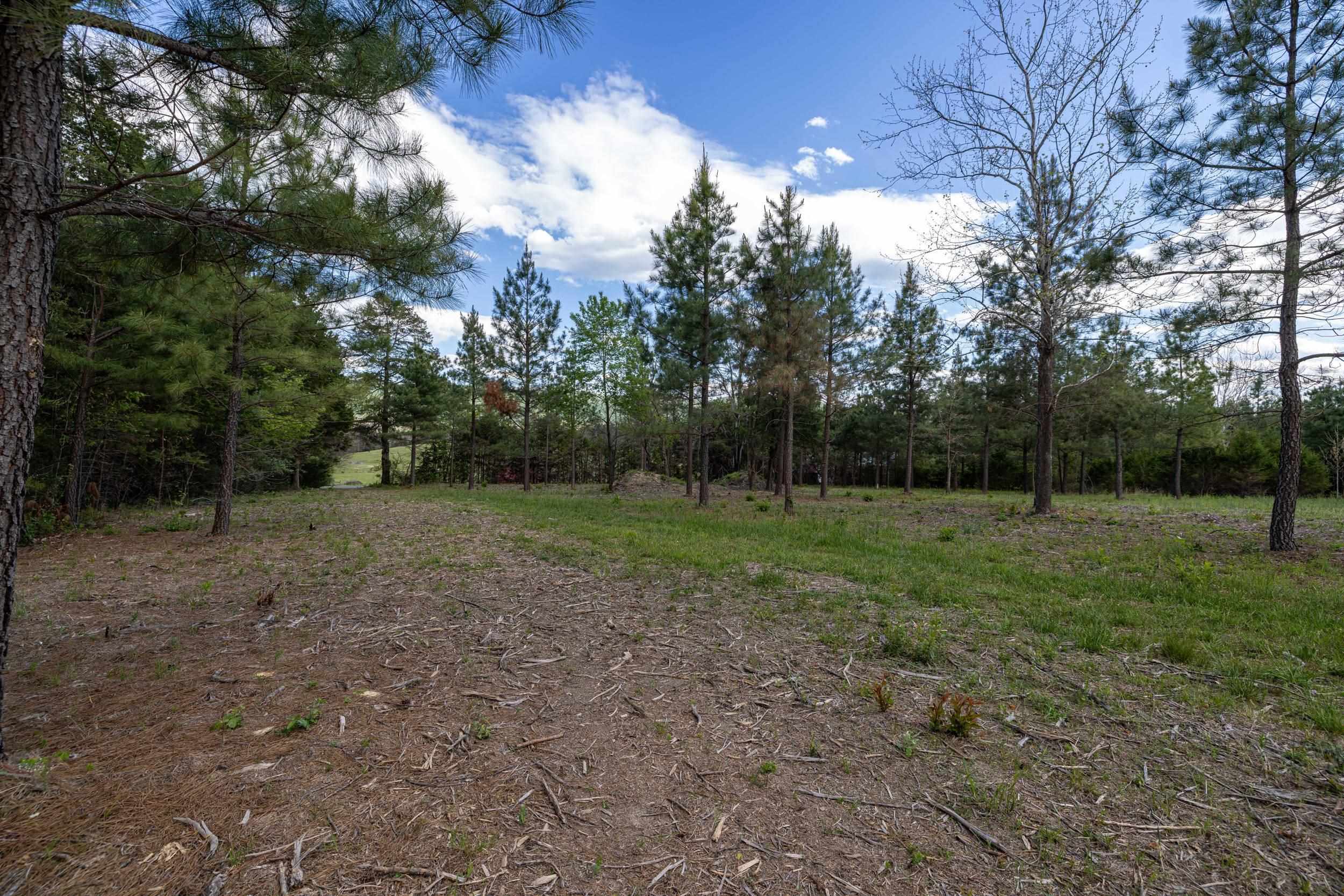 0 BOLIVER RD, FORT VALLEY, Virginia 22652, ,Land,0 BOLIVER RD,677110 MLS # 677110