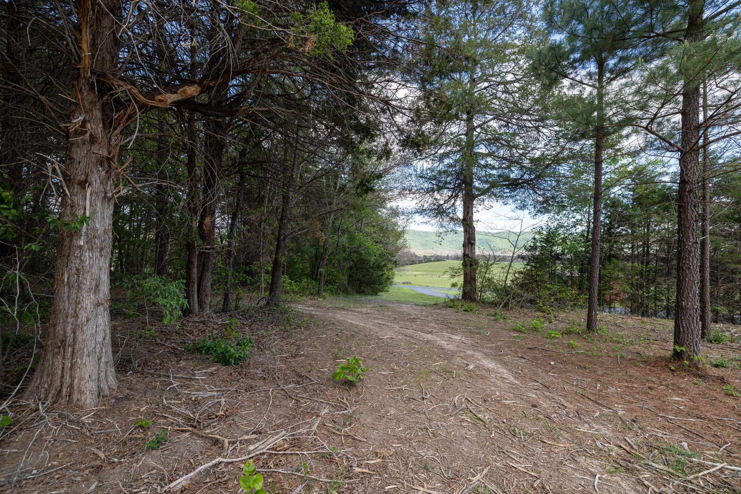 0 BOLIVER RD, FORT VALLEY, Virginia 22652, ,Land,0 BOLIVER RD,677110 MLS # 677110
